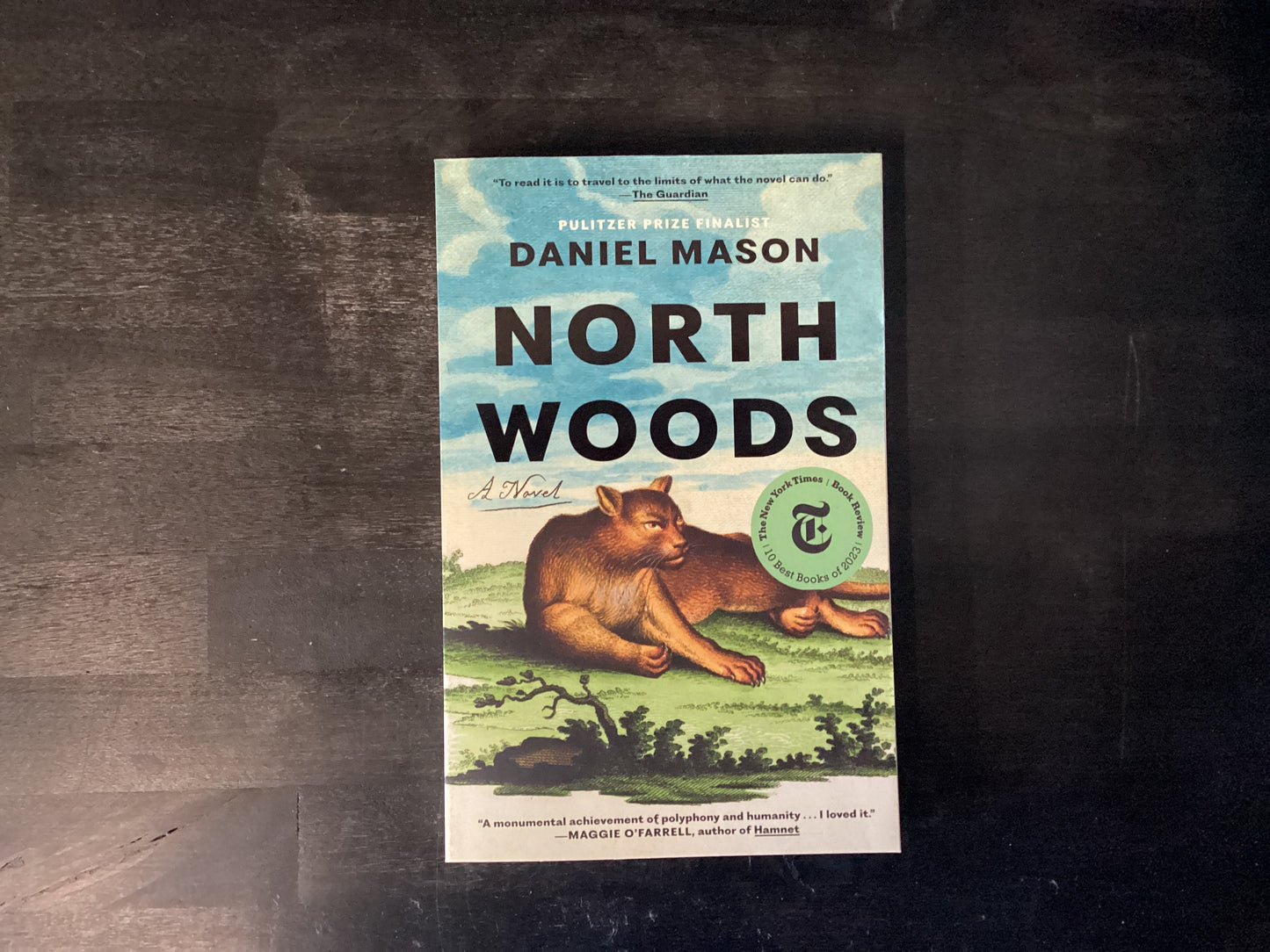 North Woods,Mason, Daniel