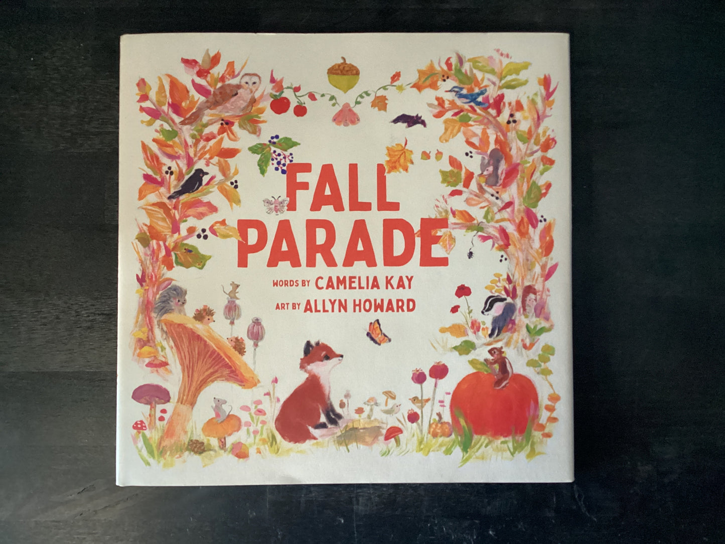 Fall Parade: A Picture Book,Kay, Camelia