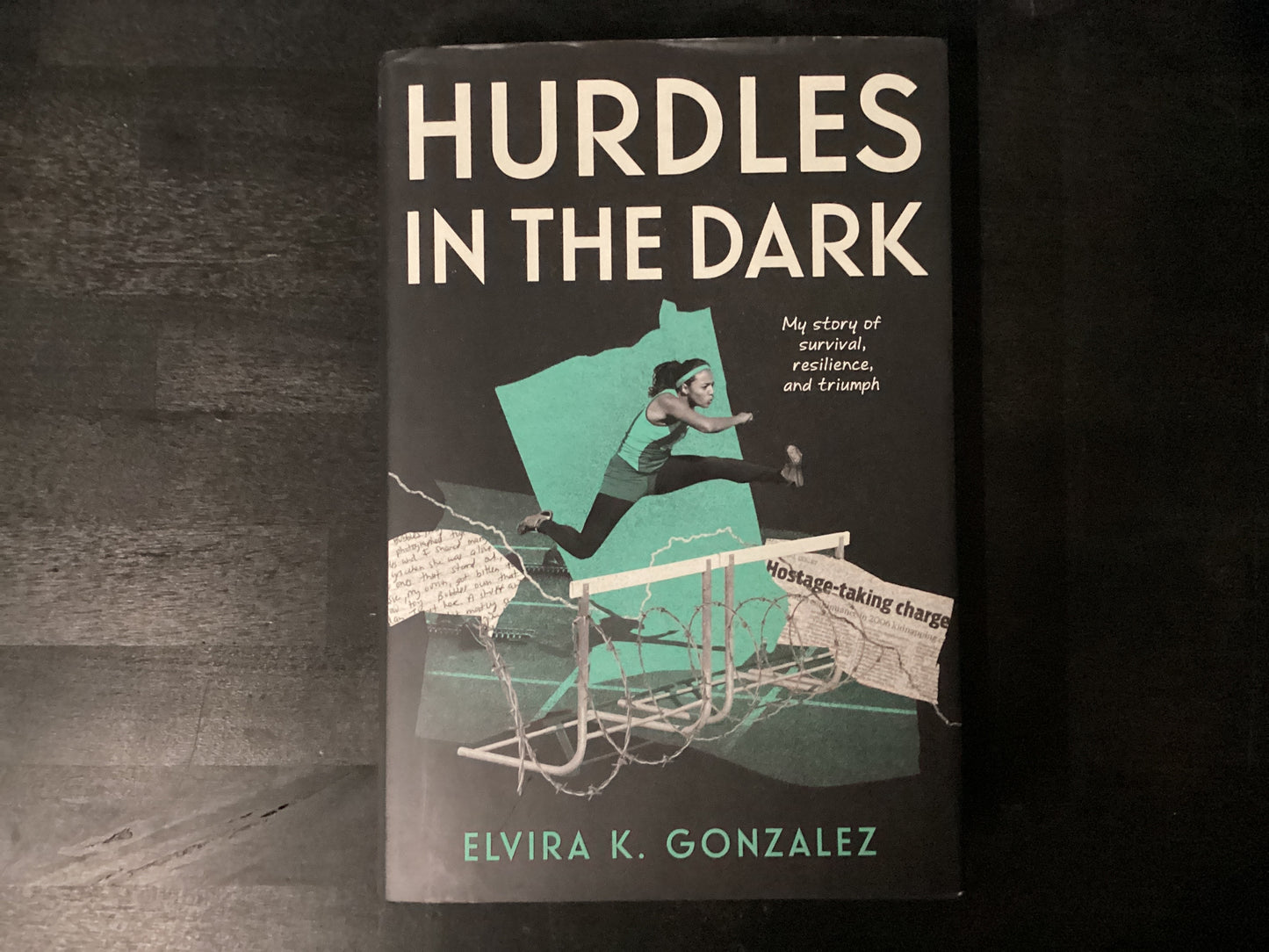 HURDLES IN THE DARK ,GONZALEZ ELVIRA
