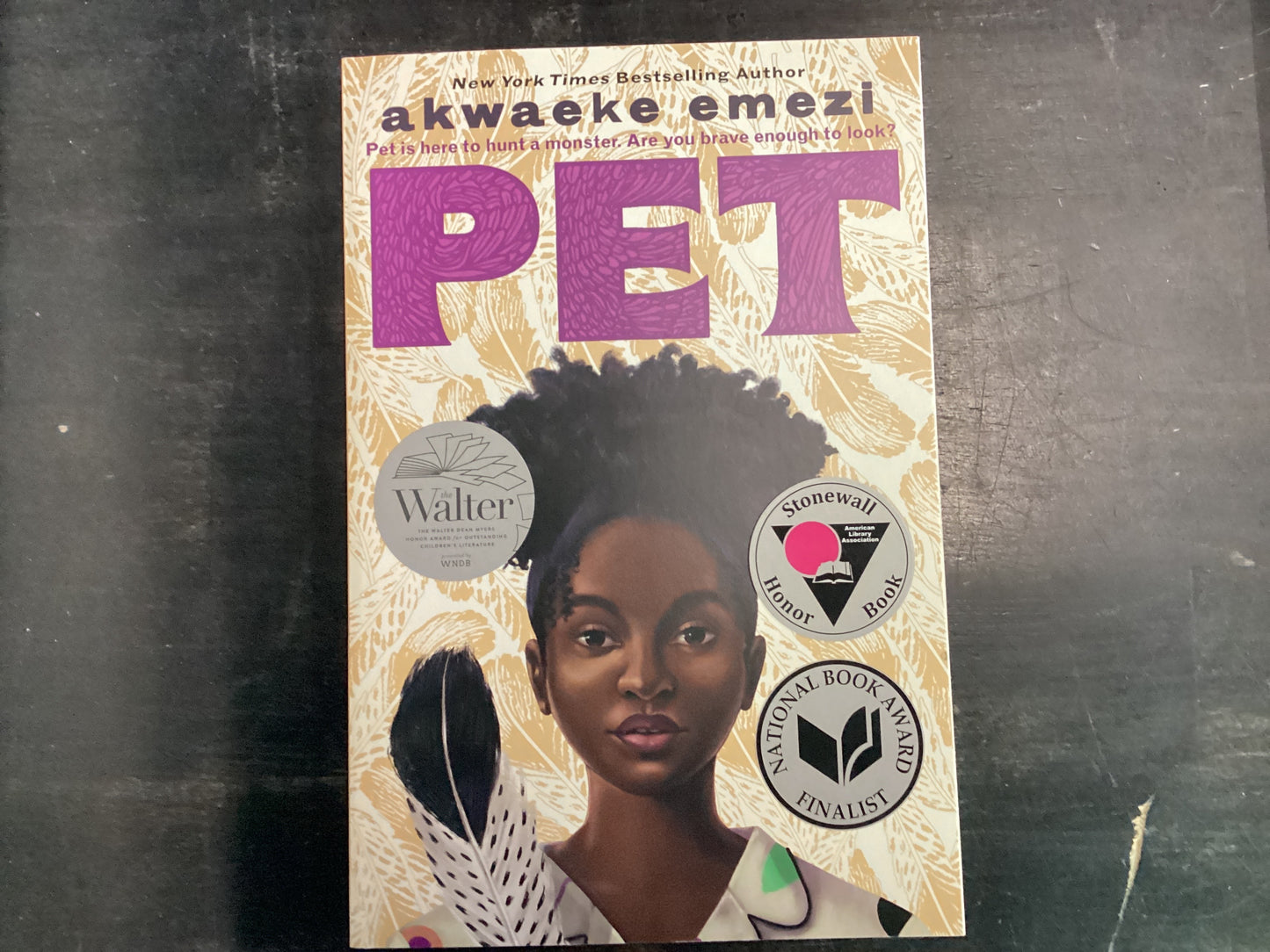 Pet - Emezi, Akwaeke