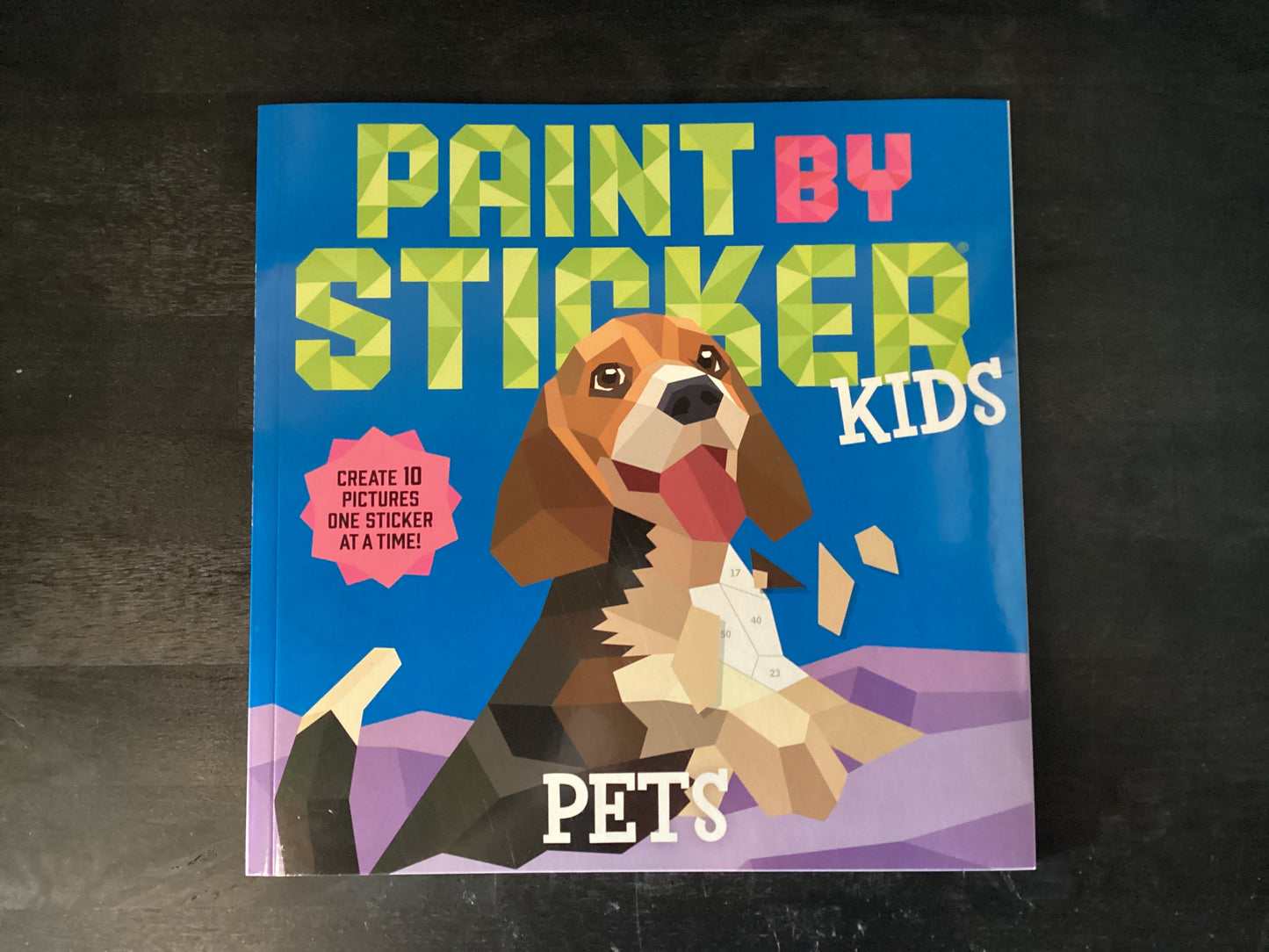 Paint by Sticker Kids: Pets: Create 10 Pictures One Sticker at a Time!,Workman Publishing