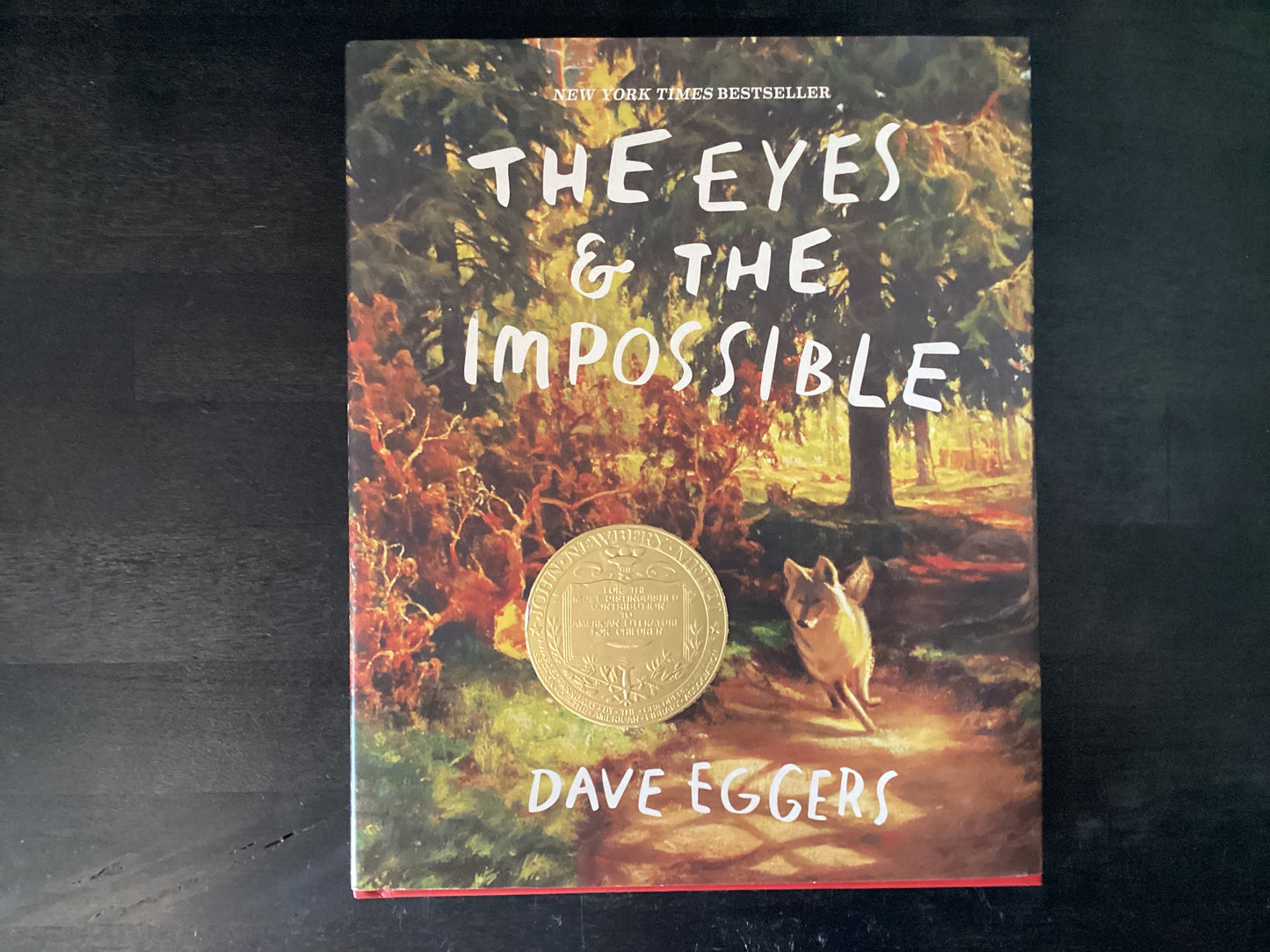 Eyes and the Impossible: (Newbery Medal Winner),Eggers, Dave