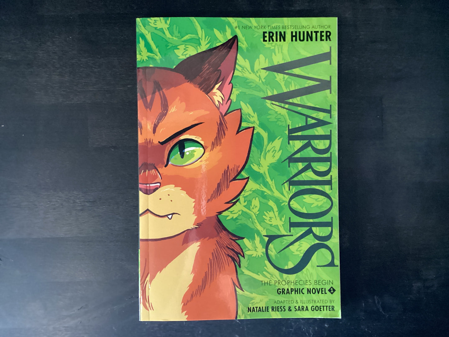 Warriors Graphic Novel: The Prophecies Begin #1,Hunter, Erin ; Riess, Natalie ; Goetter, Sara