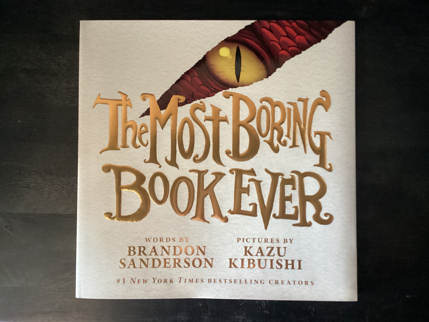 Most Boring Book Ever,Sanderson, Brandon