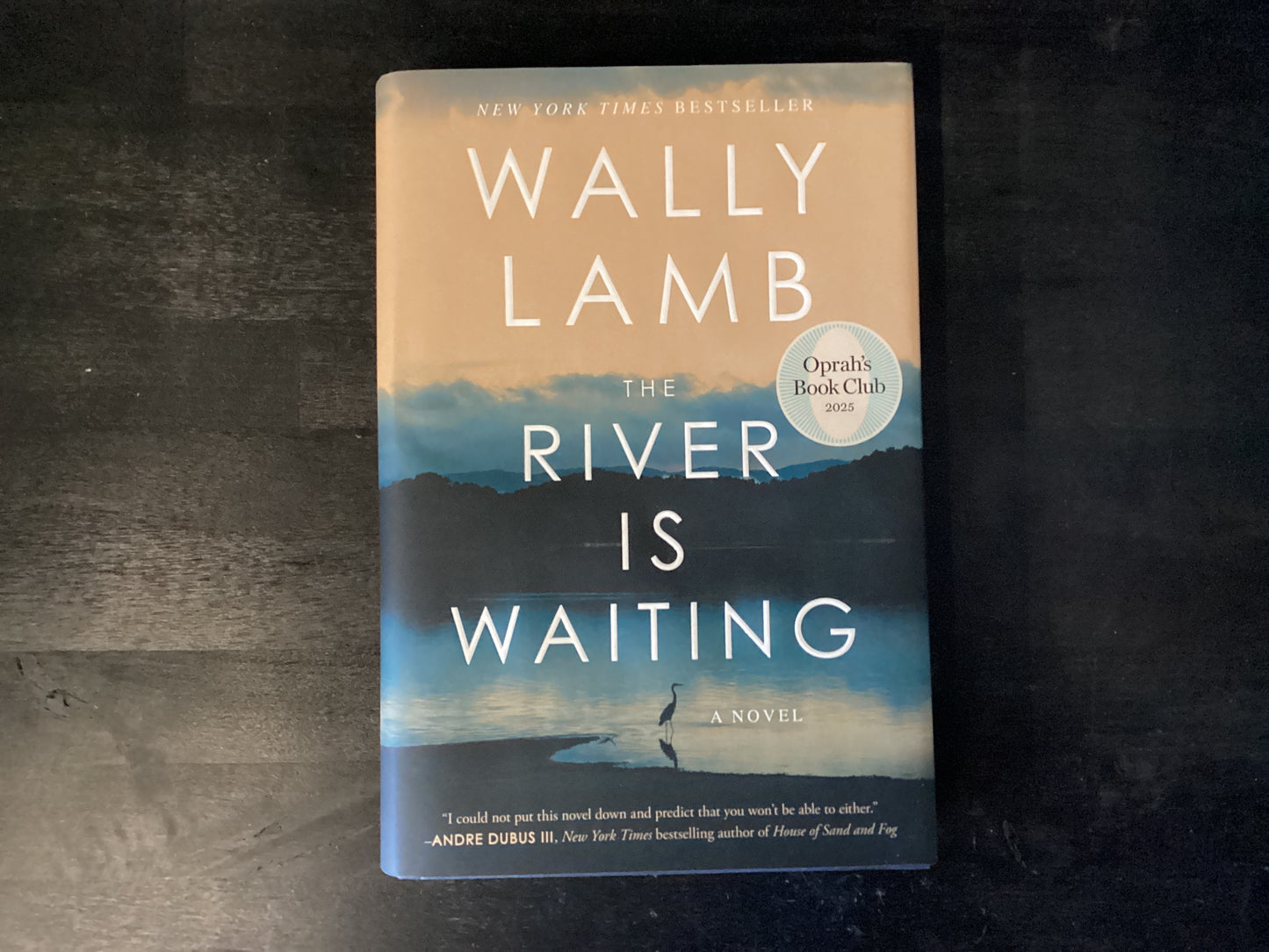 River Is Waiting (Oprah's Book Club),Lamb, Wally