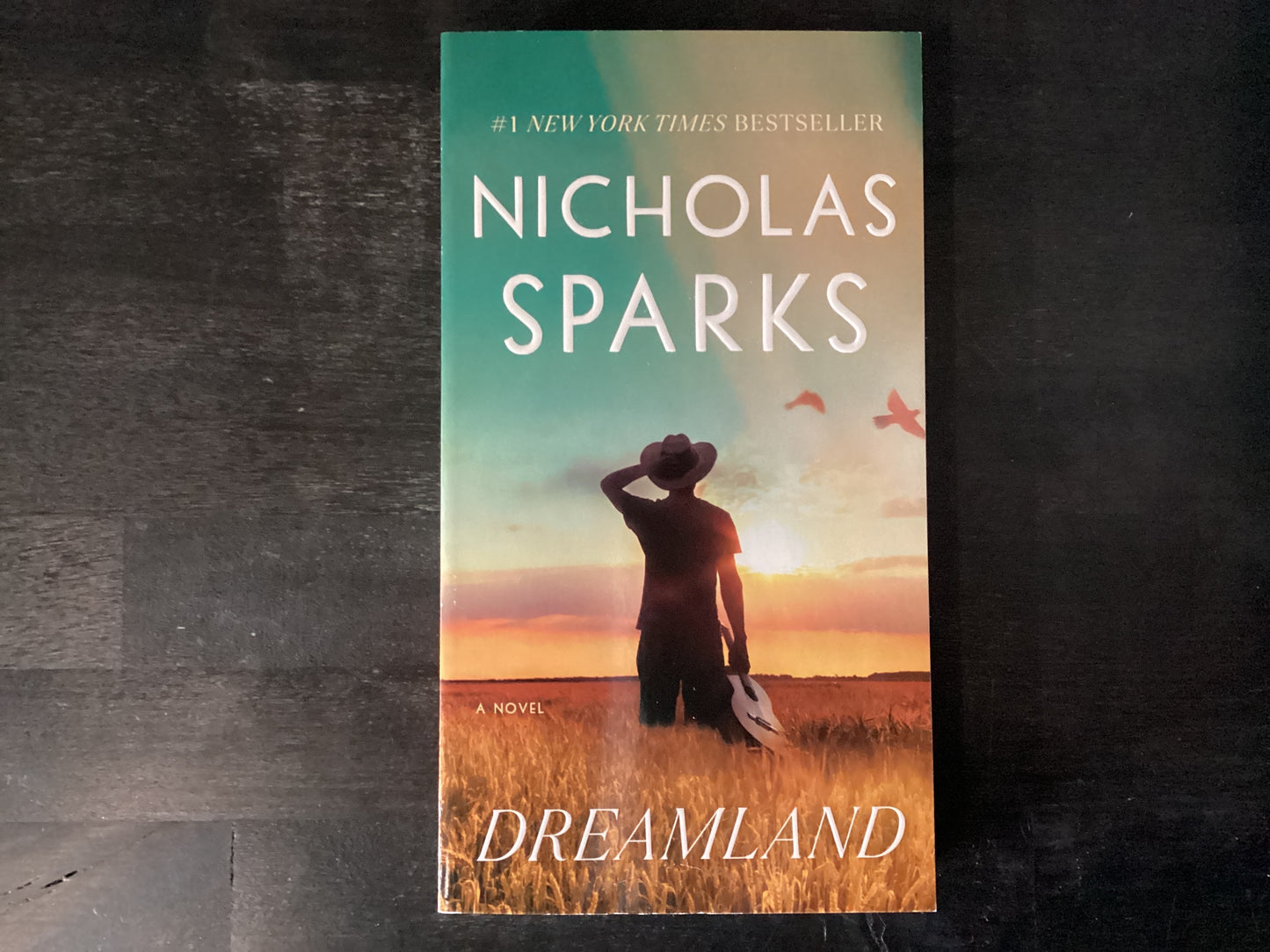 Dreamland,Sparks, Nicholas