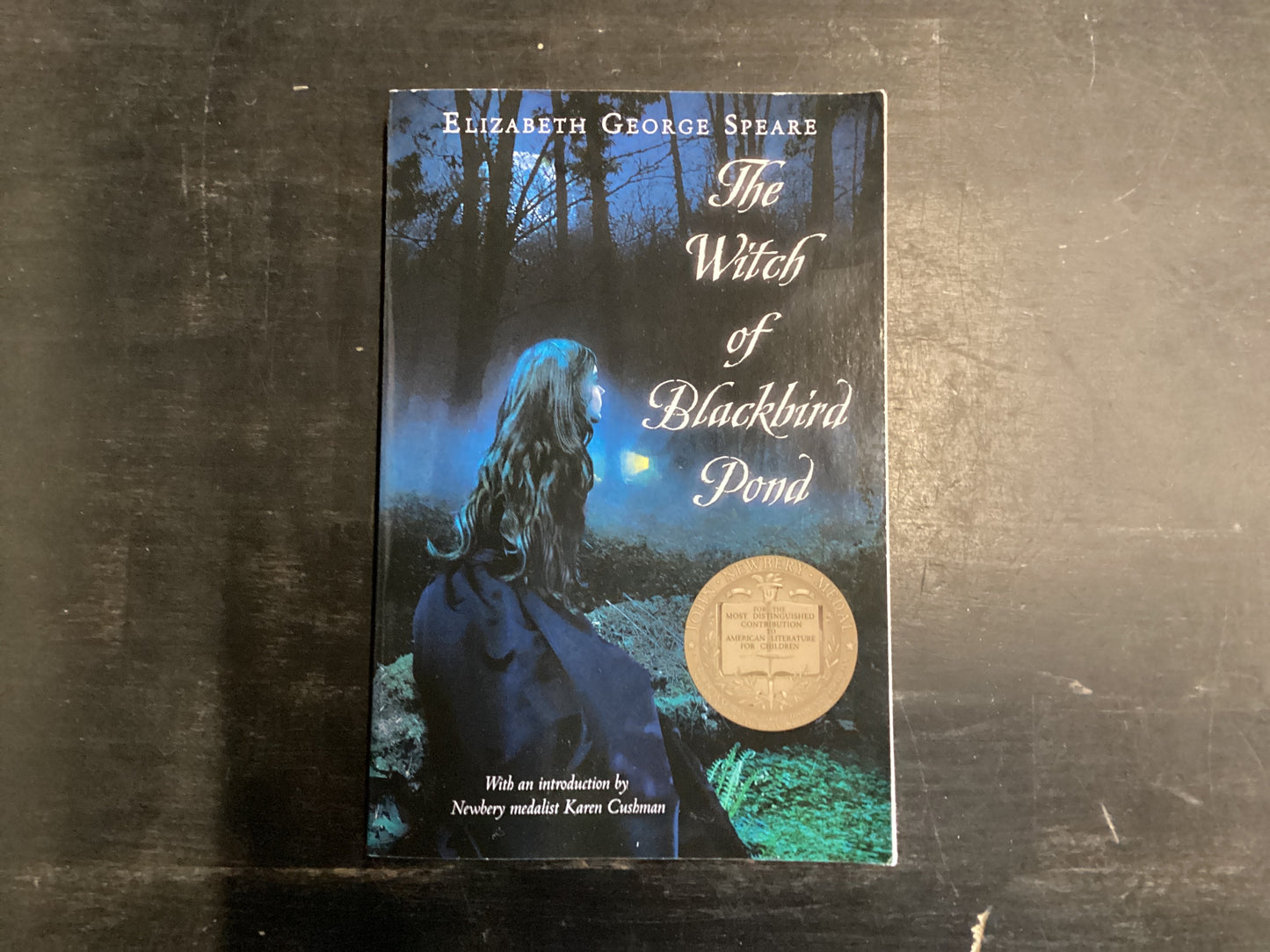 The Witch of Blackbird pond- Speare, Elizabeth