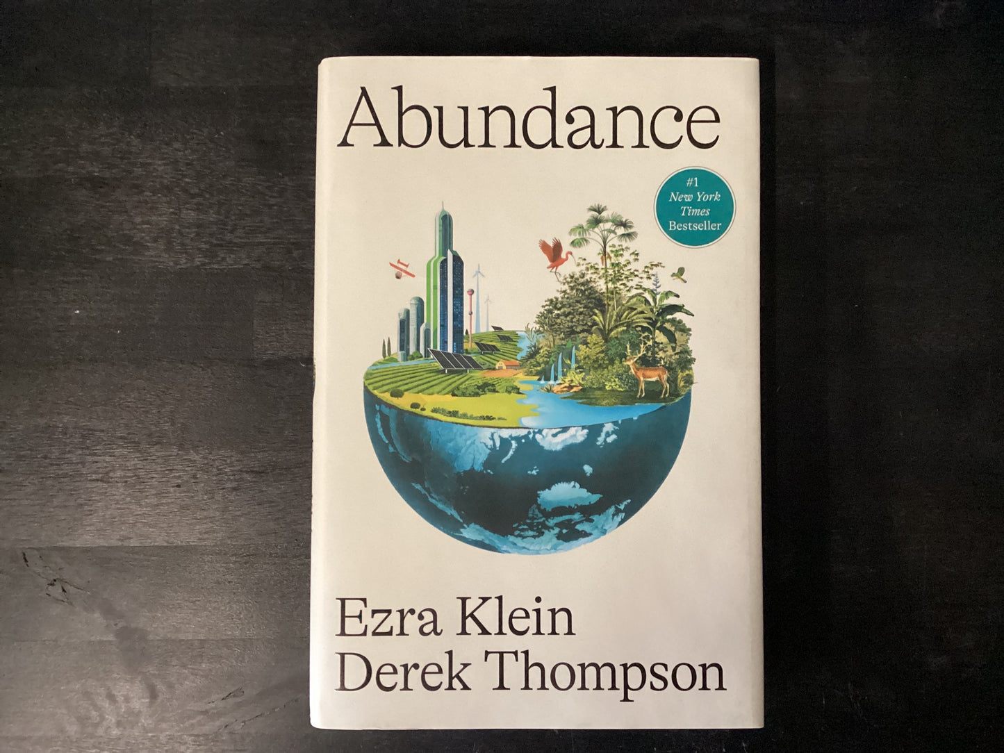 Abundance,Klein, Ezra ; Thompson, Derek