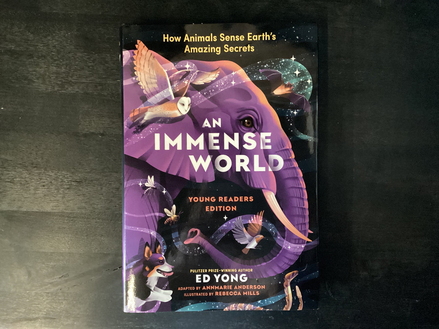 An Immense World (Young Readers Edition): How Animals Sense Earth's Amazing Secrets,Yong, Ed ; Mills, Rebecca