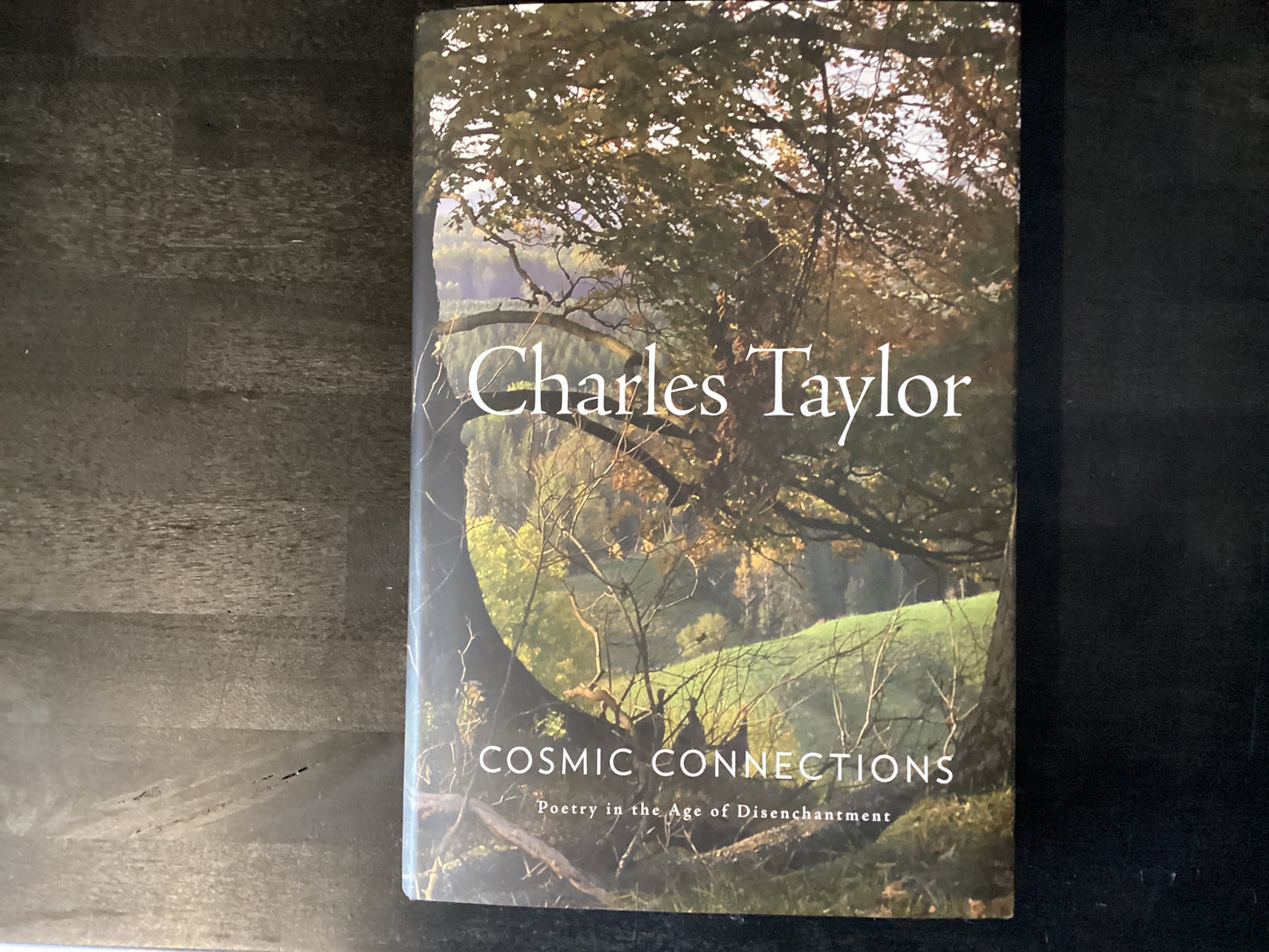 COSMIC CONNECTIONS ,TAYLOR CHARLES