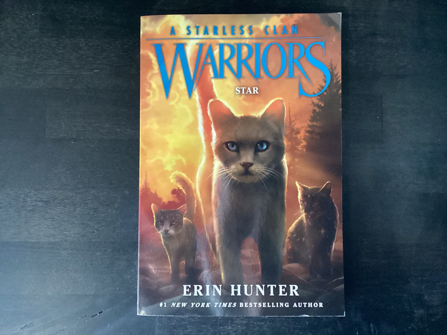 Warriors: A Starless Clan #6: Star,Hunter, Erin