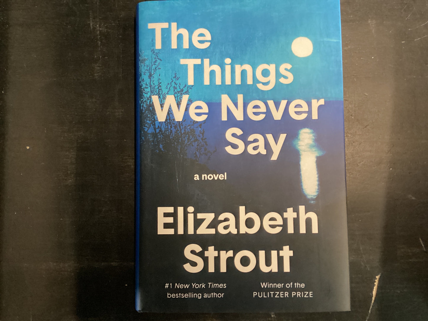 The Things We never Say - Strout, Elizabeth
