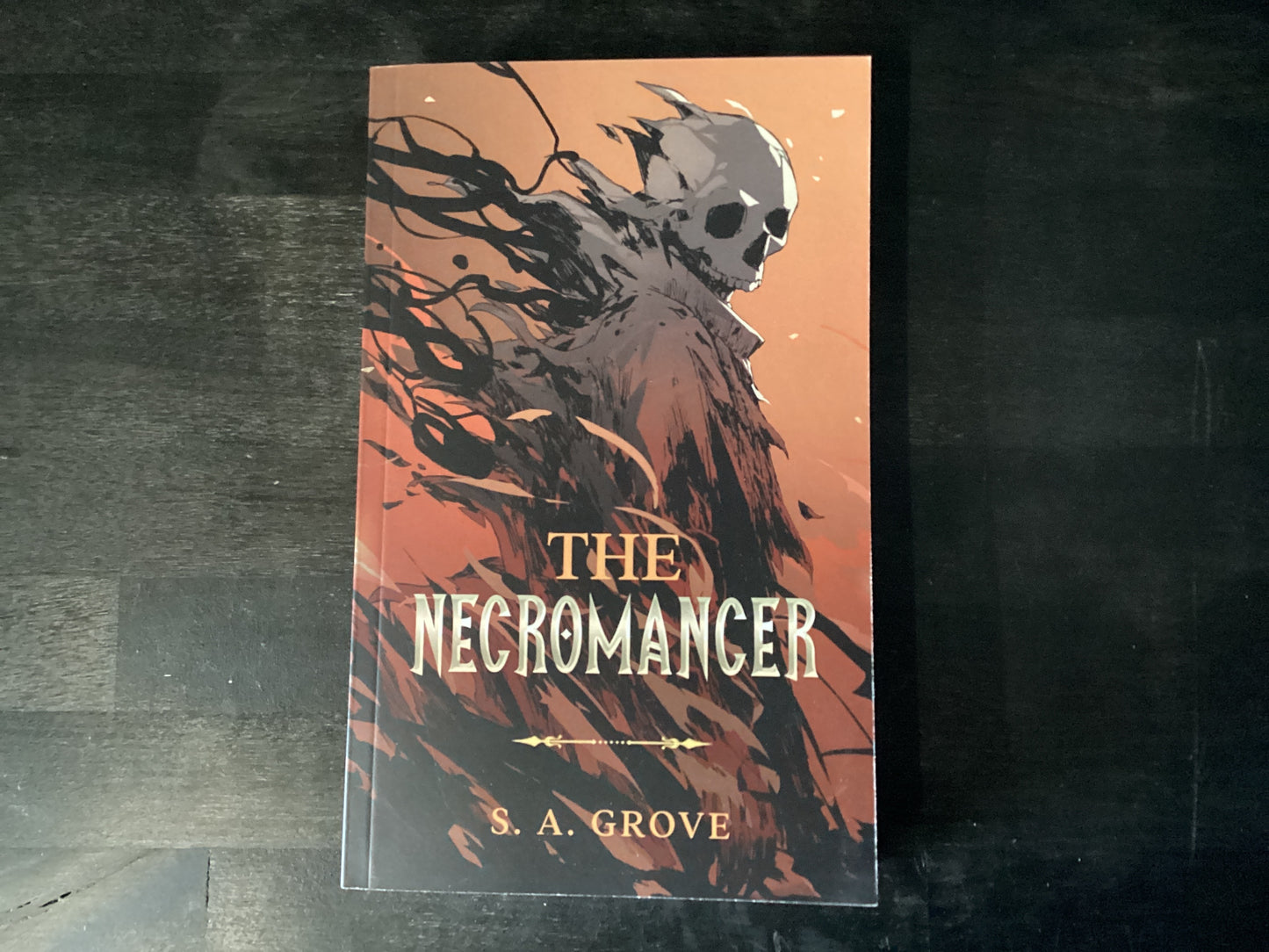 The Necromancer, book 1. S.A Grove