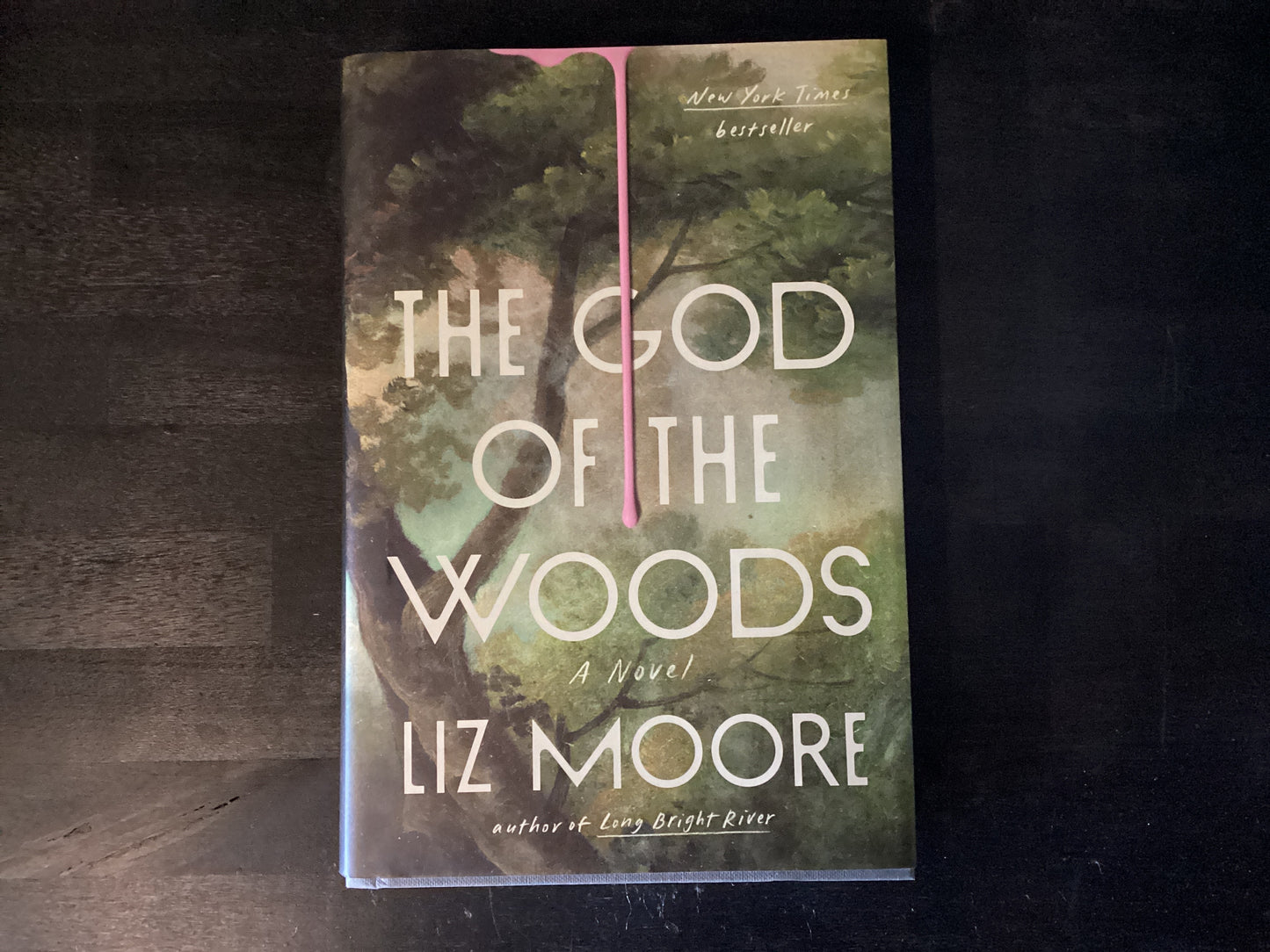The God of the Woods,Moore, Liz