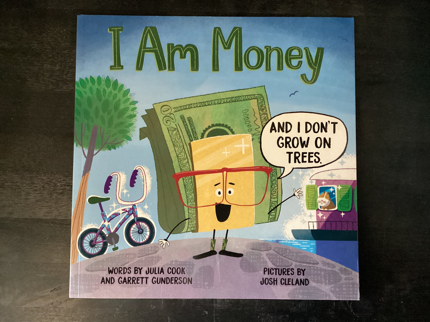 I Am Money,Cook, Julia ; Gunderson, Garrett ; Cleland, Josh