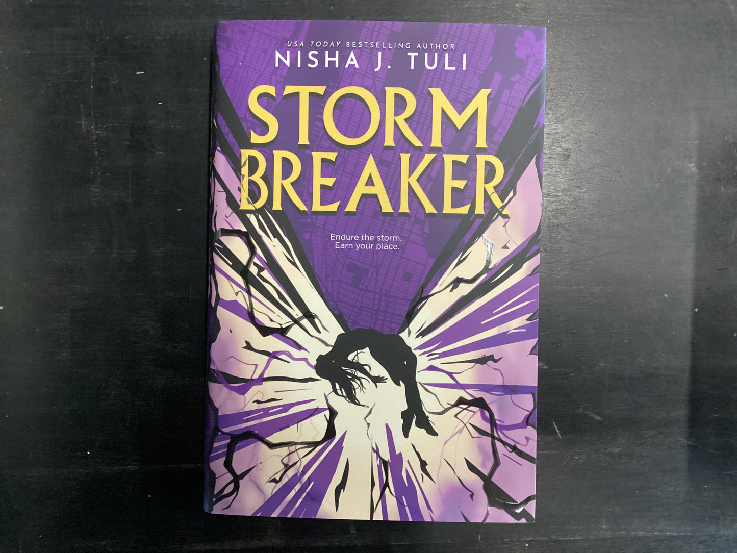 Storm Breaker, Tuli, Nisha J.