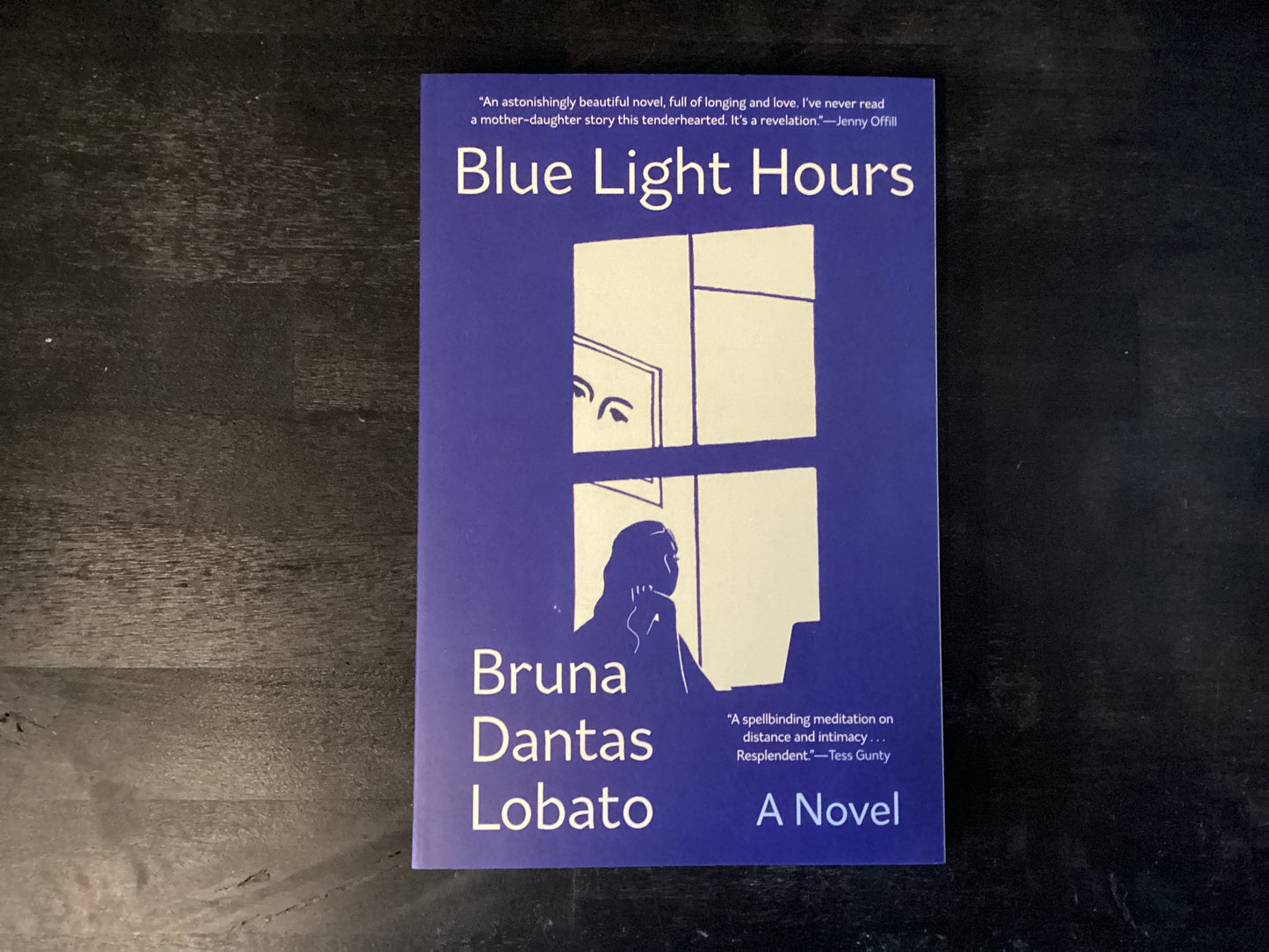 BLUE LIGHT HOURS ,DANTAS LOBATO B