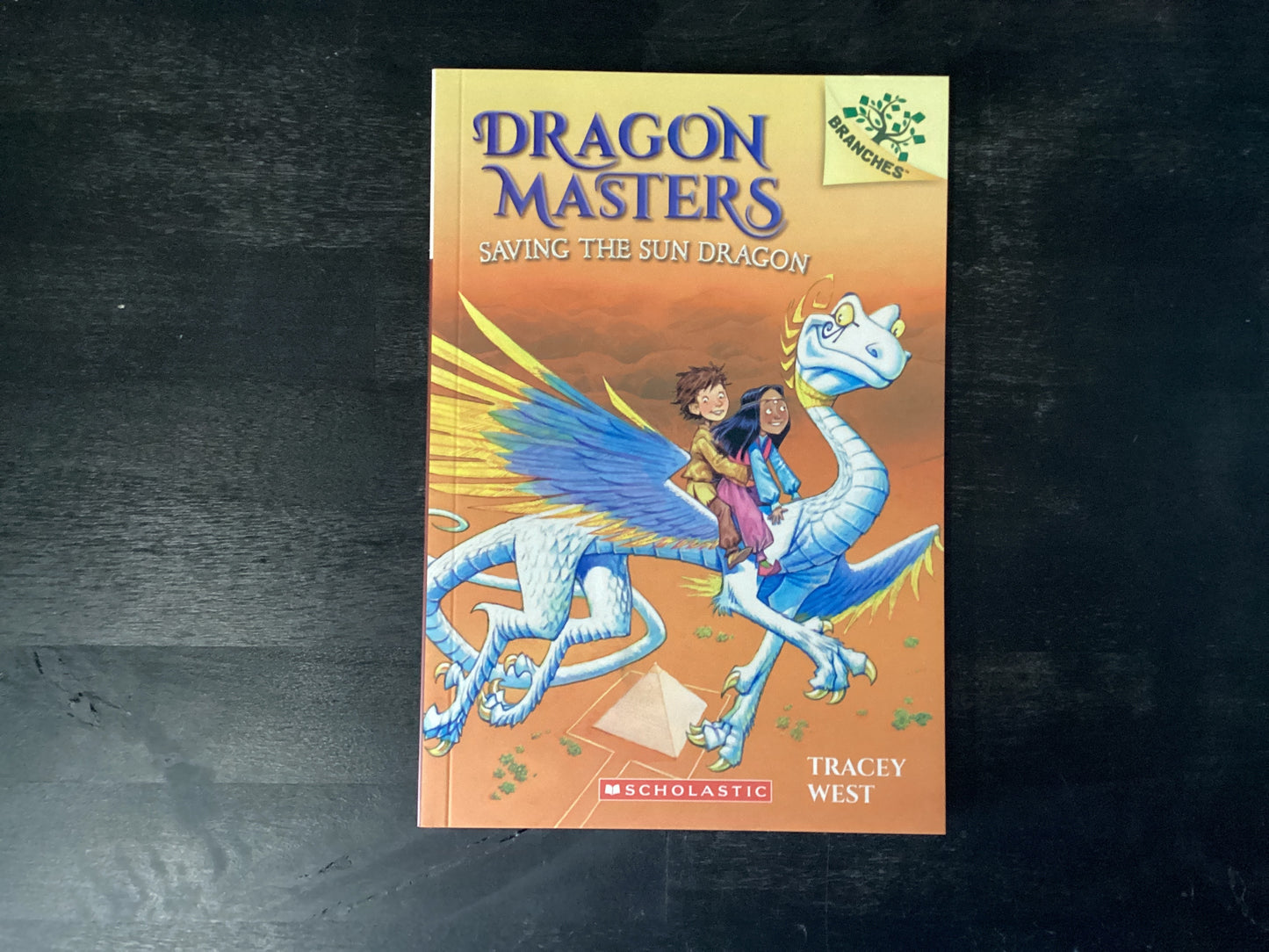 Dragon Masters, Saving the Sun Dragon, West, Tracey