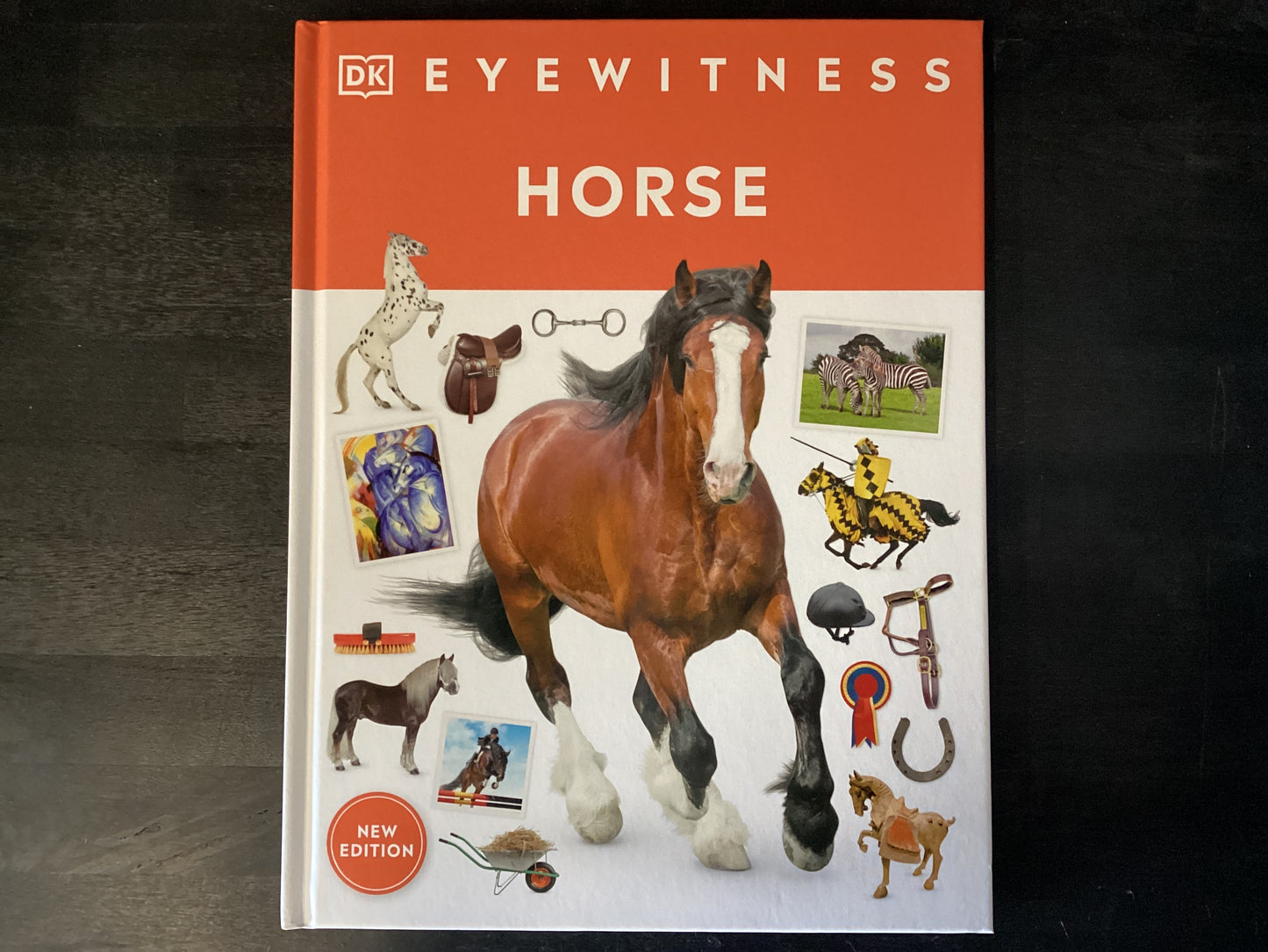 EYEWITNESS HORSE ,DK