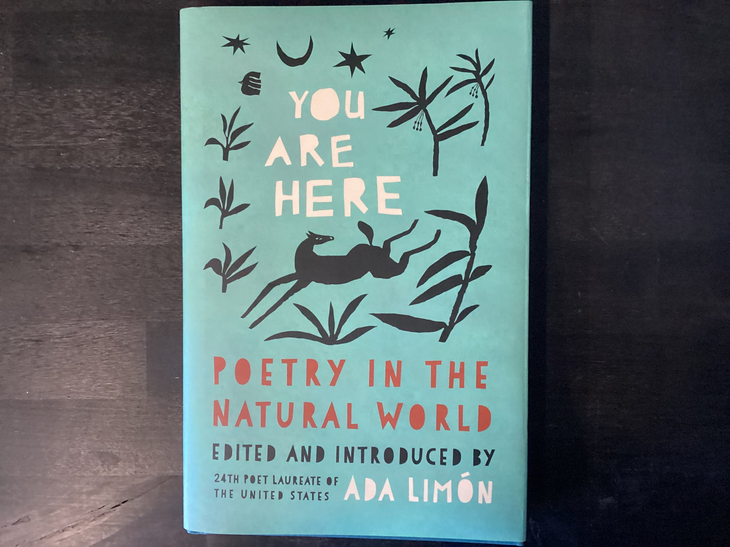 YOU ARE HERE ,LIMON ADA