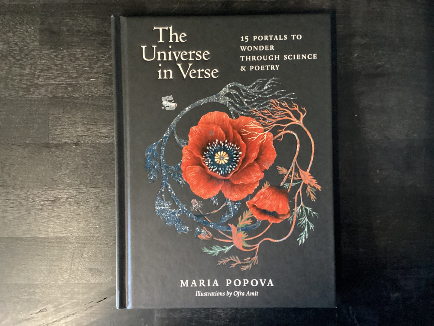 The Universe in Verse: 15 Portals to Wonder Through Science & Poetry,Popova, Maria ; Amit, Ofra
