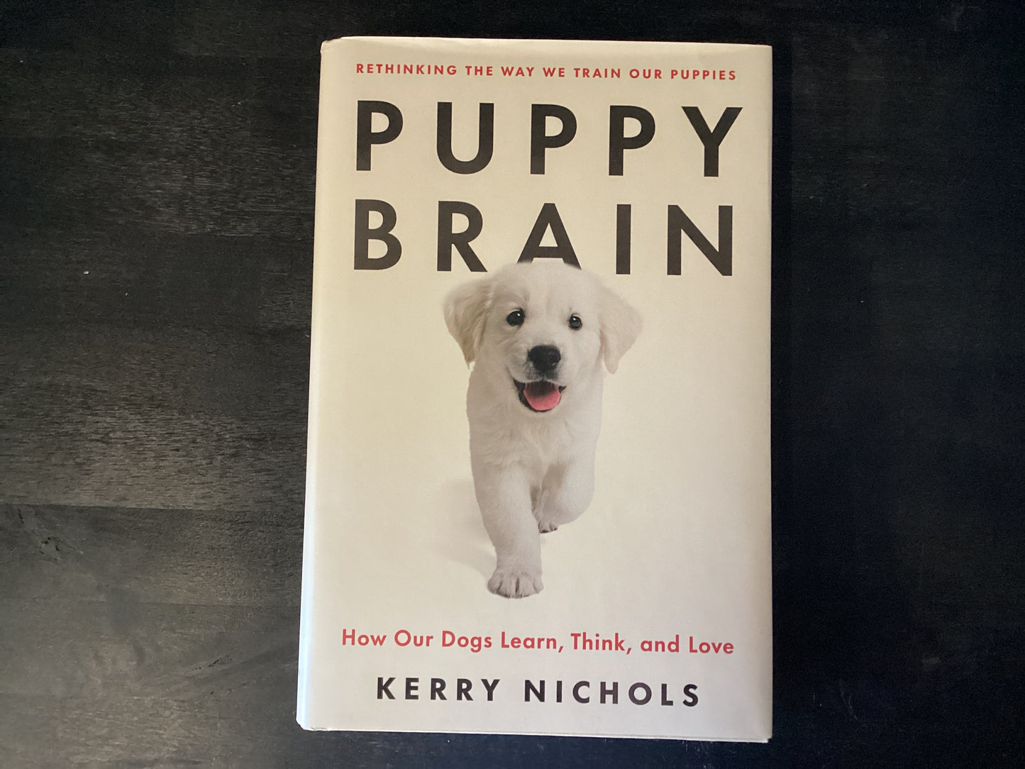 PUPPY BRAIN ,NICHOLS KERRY