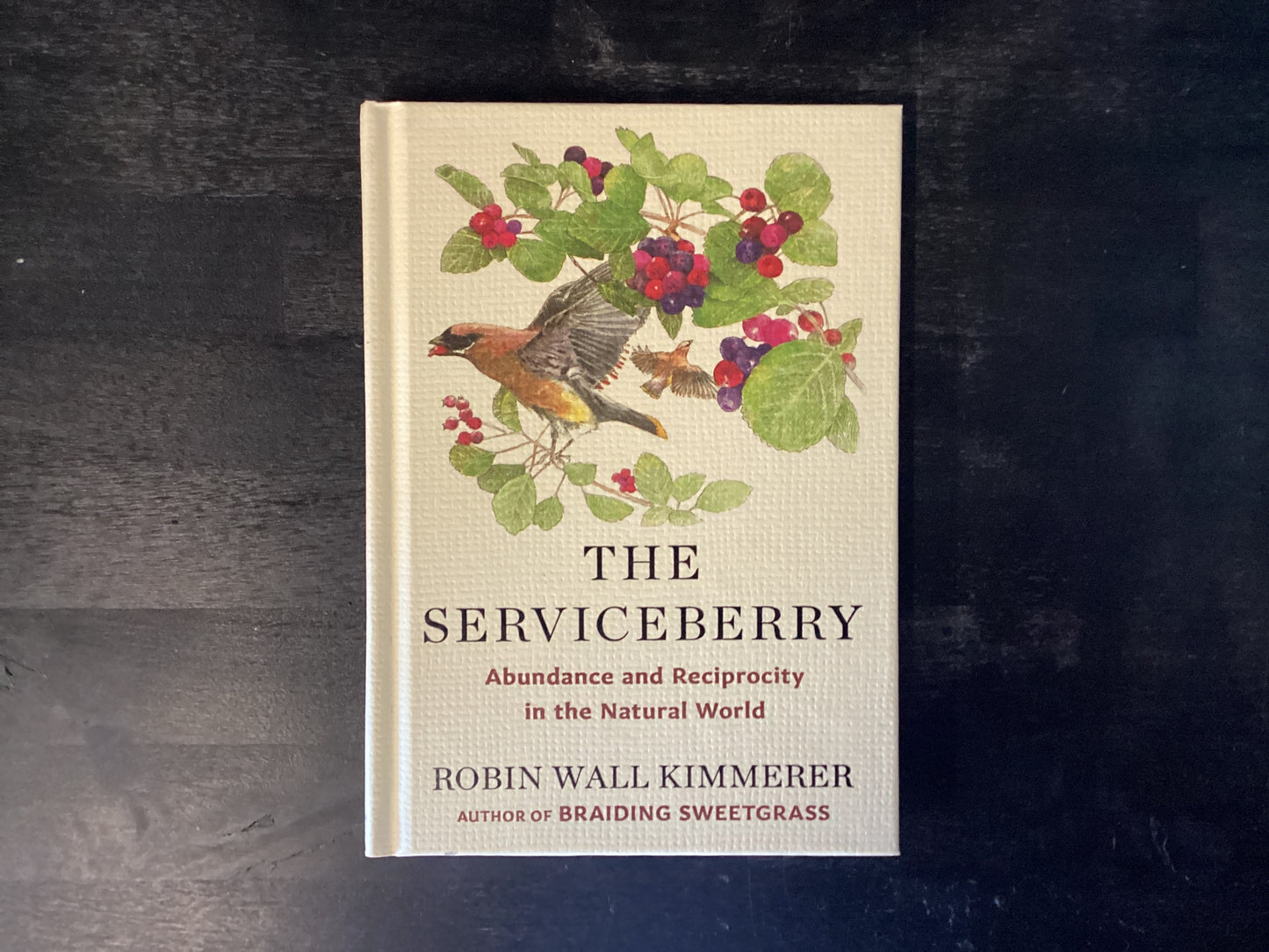 The Serviceberry: Abundance and Reciprocity in the Natural World,Kimmerer, Robin Wall ; Burgoyne, John