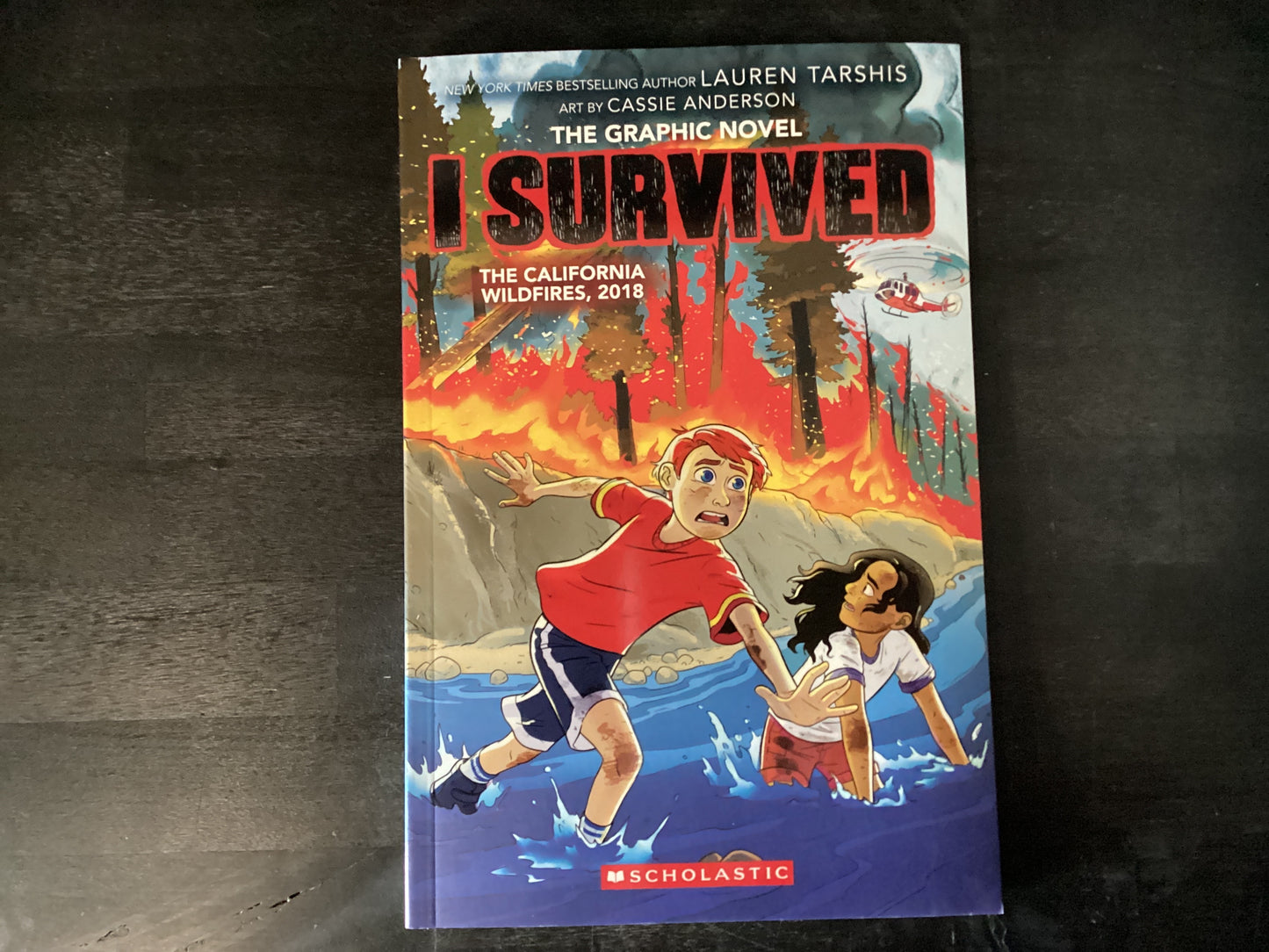 I Survived the California wildfires 2018
