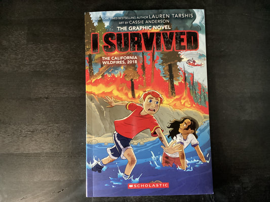 I Survived the California wildfires 2018