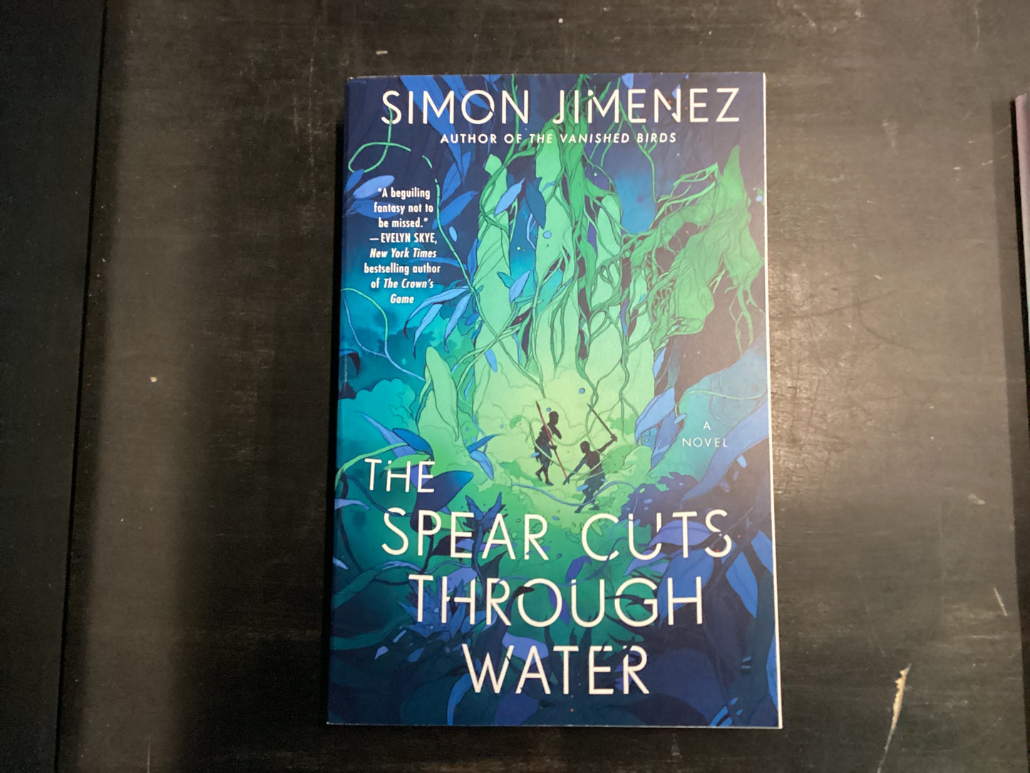 The Spear Cuts Through Water - Jimenez, Simon