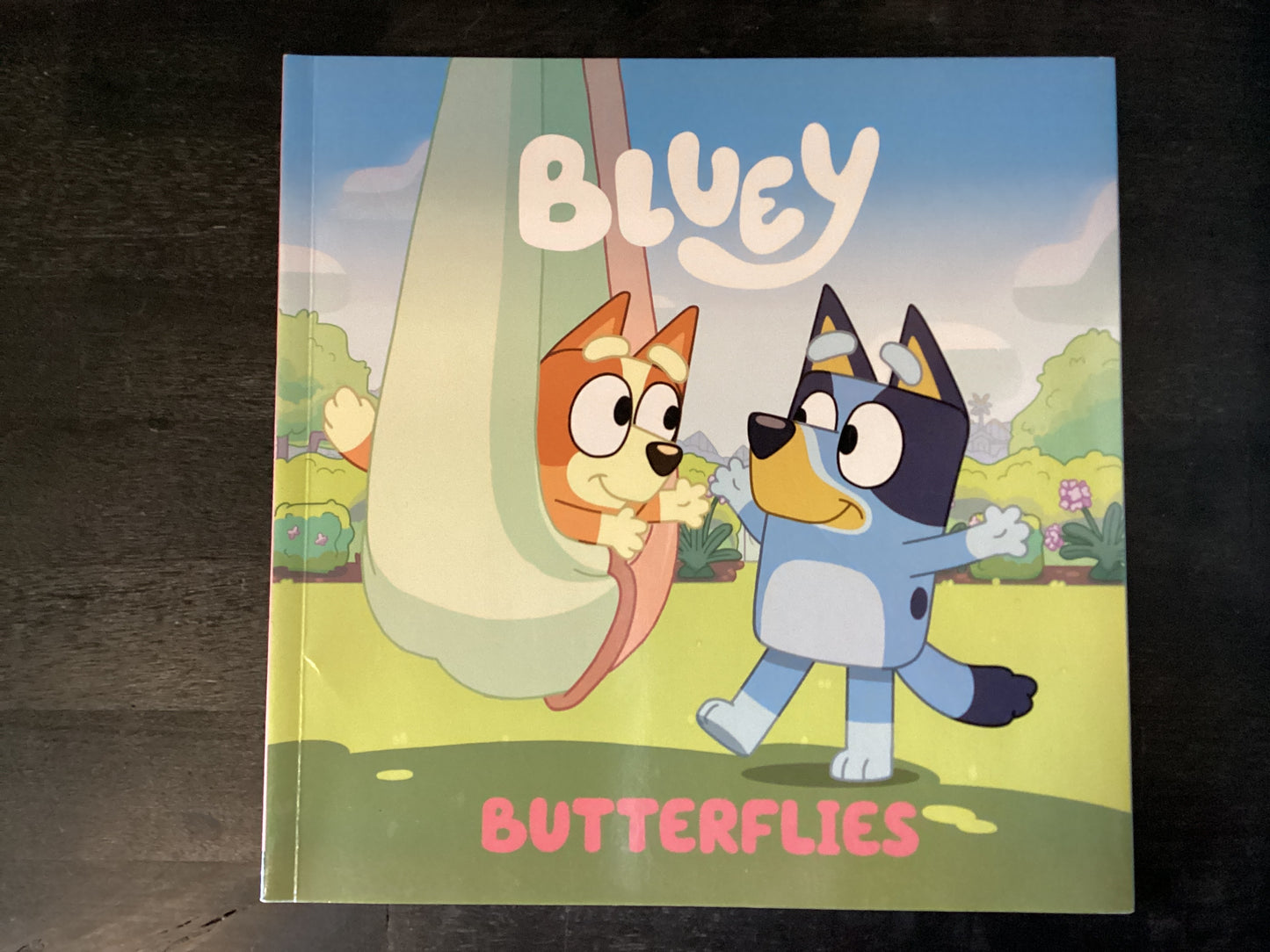 BLUEY BUTTERFLIES             ,PENGUIN YOUNG R