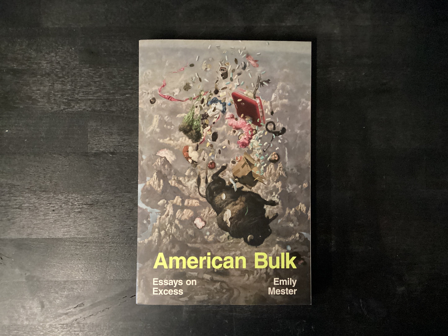 AMER BULK                     ,MESTER EMILY