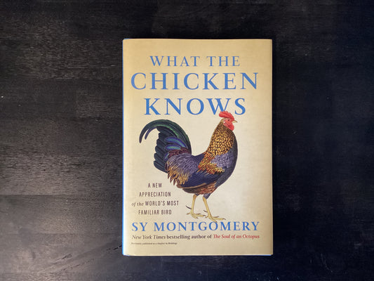 WHAT THE CHICKEN KNOWS        ,MONTGOMERY SY