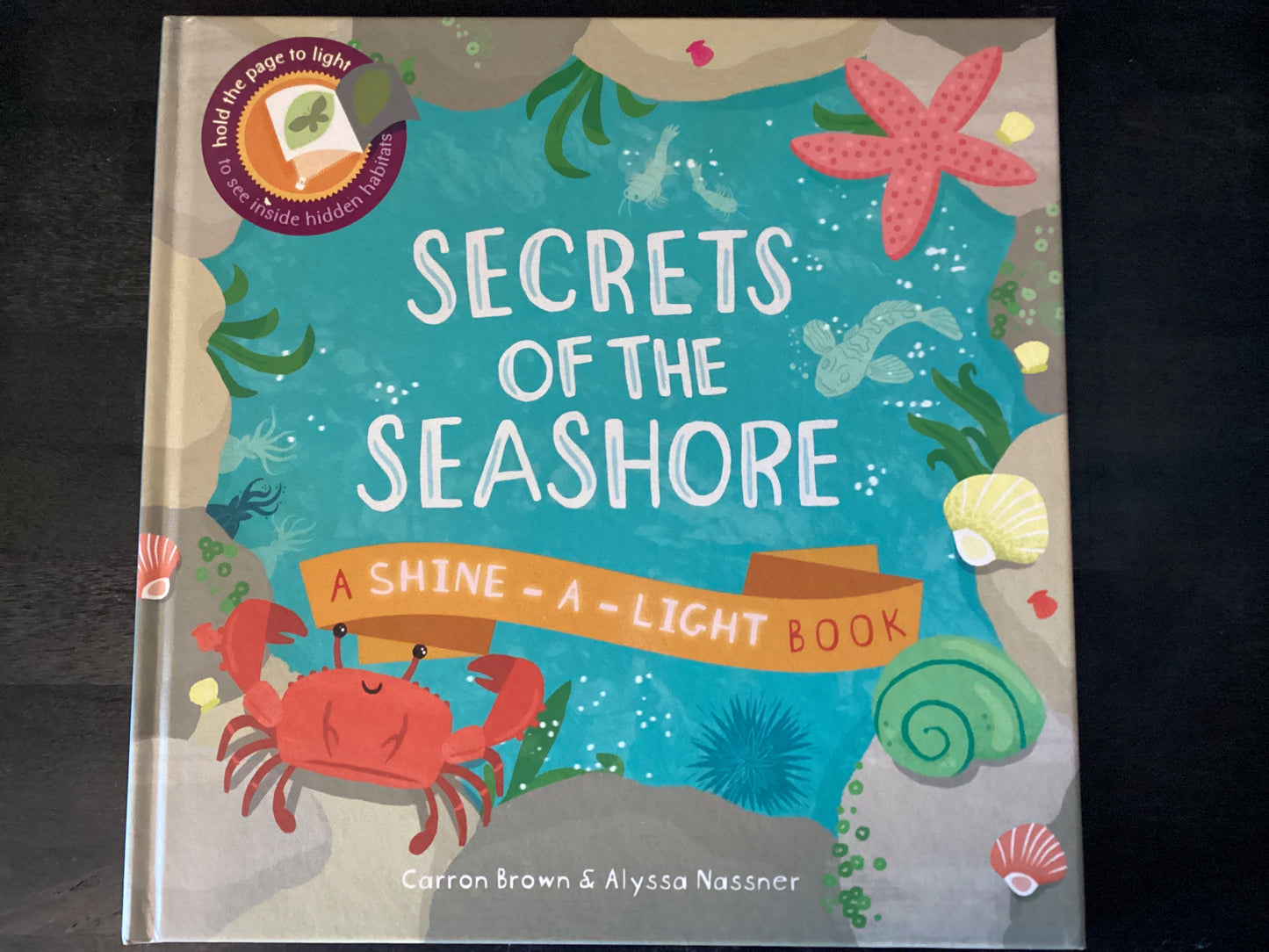 Secrets of the Seashore,Brown, Carron