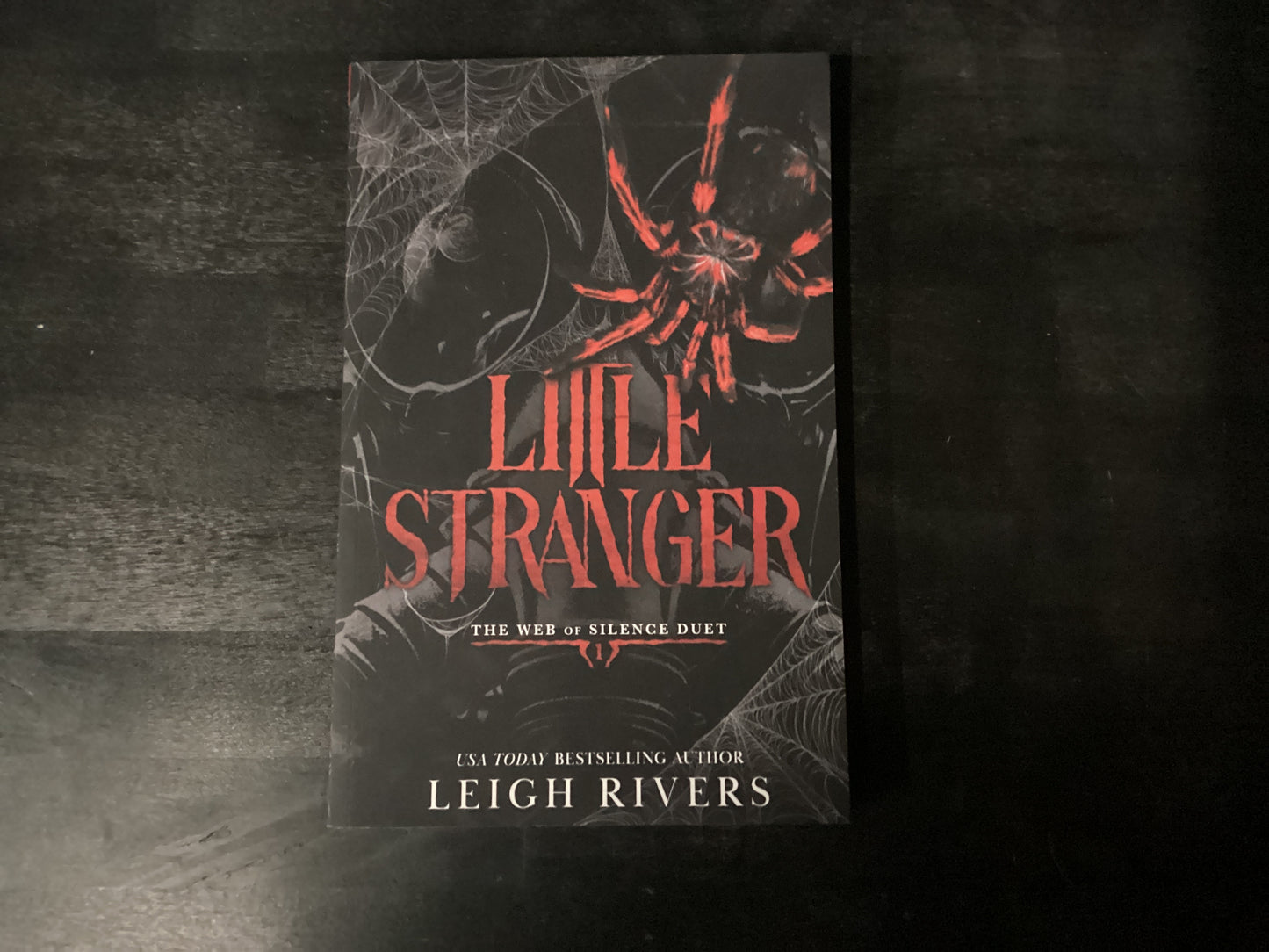 Little Stranger: A Dark Taboo Romance,Rivers, Leigh