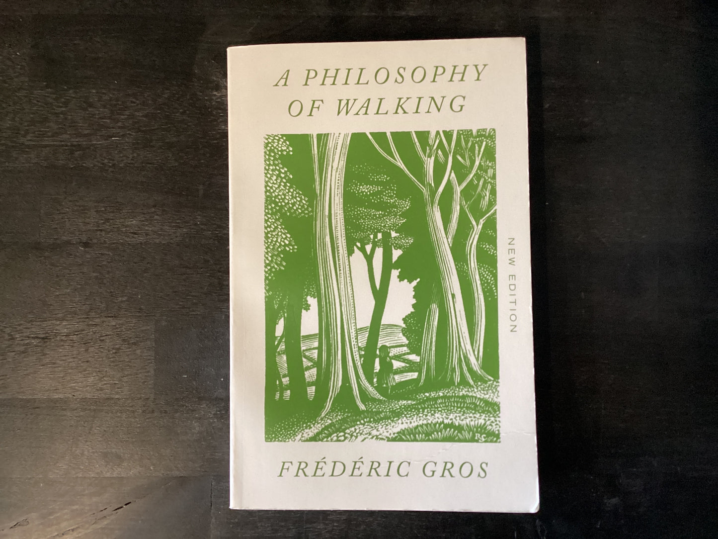 A Philosophy of Walking,Gros, FrŽdŽric ; Howe, John
