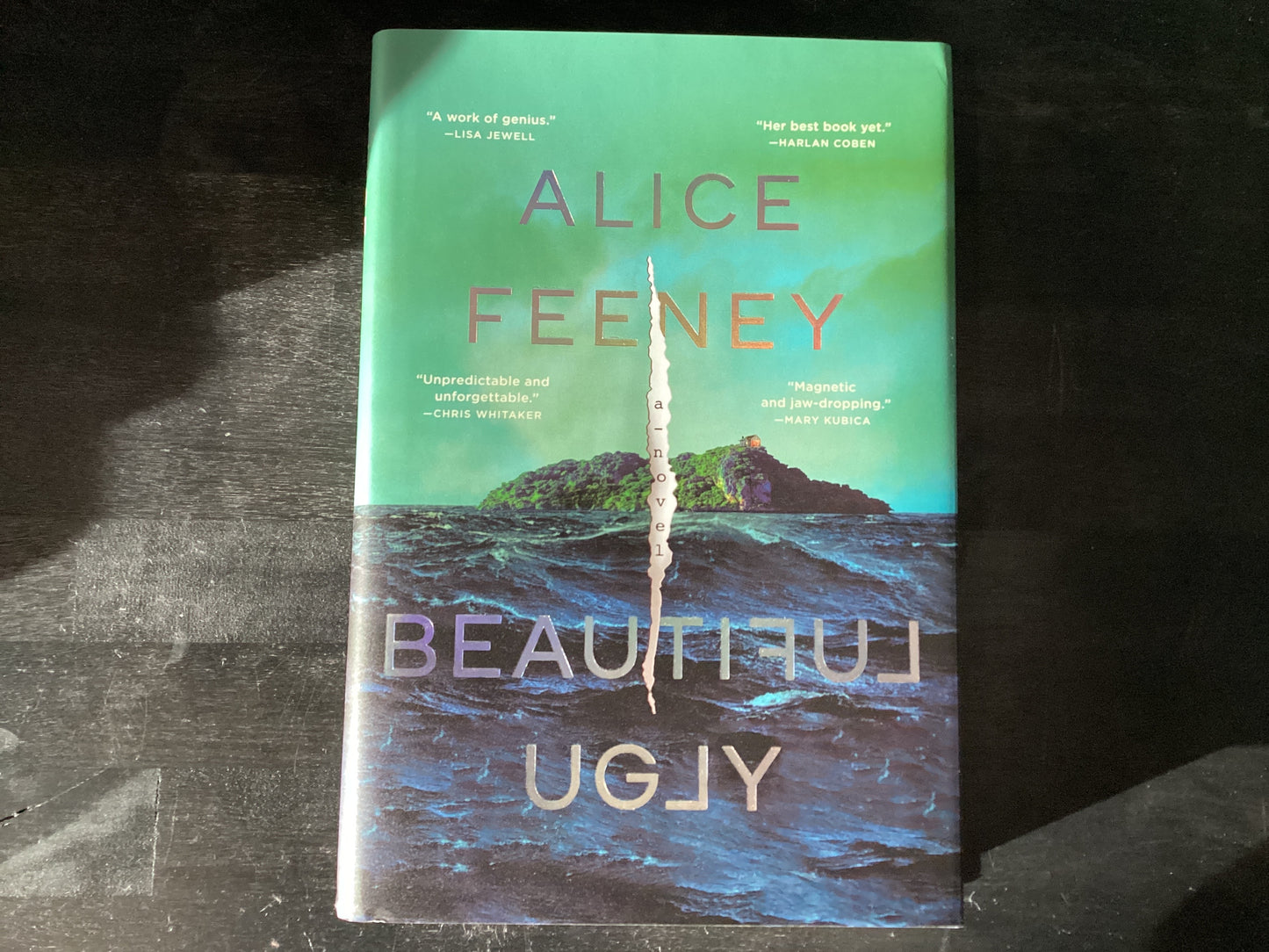 Beautiful Ugly,Feeney, Alice