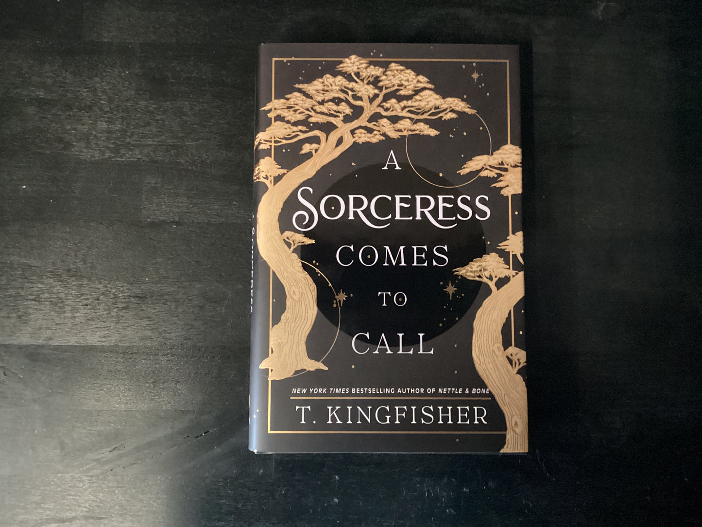 A Sorceress Comes to Call,Kingfisher, T