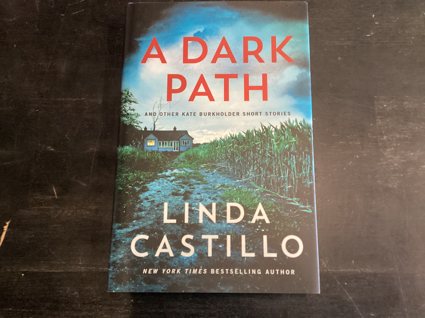 A Dark Path - Castillo, Linda