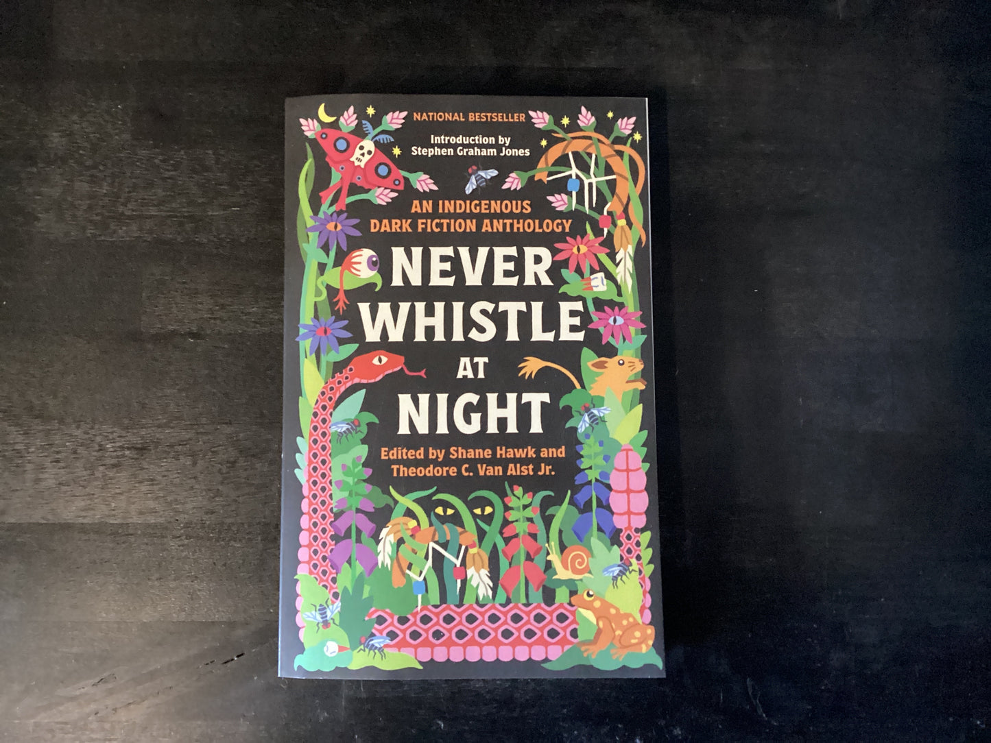 Never Whistle at Night: An Indigenous Dark Fiction Anthology,Hawk, Shane ; Van Alst, Theodore C