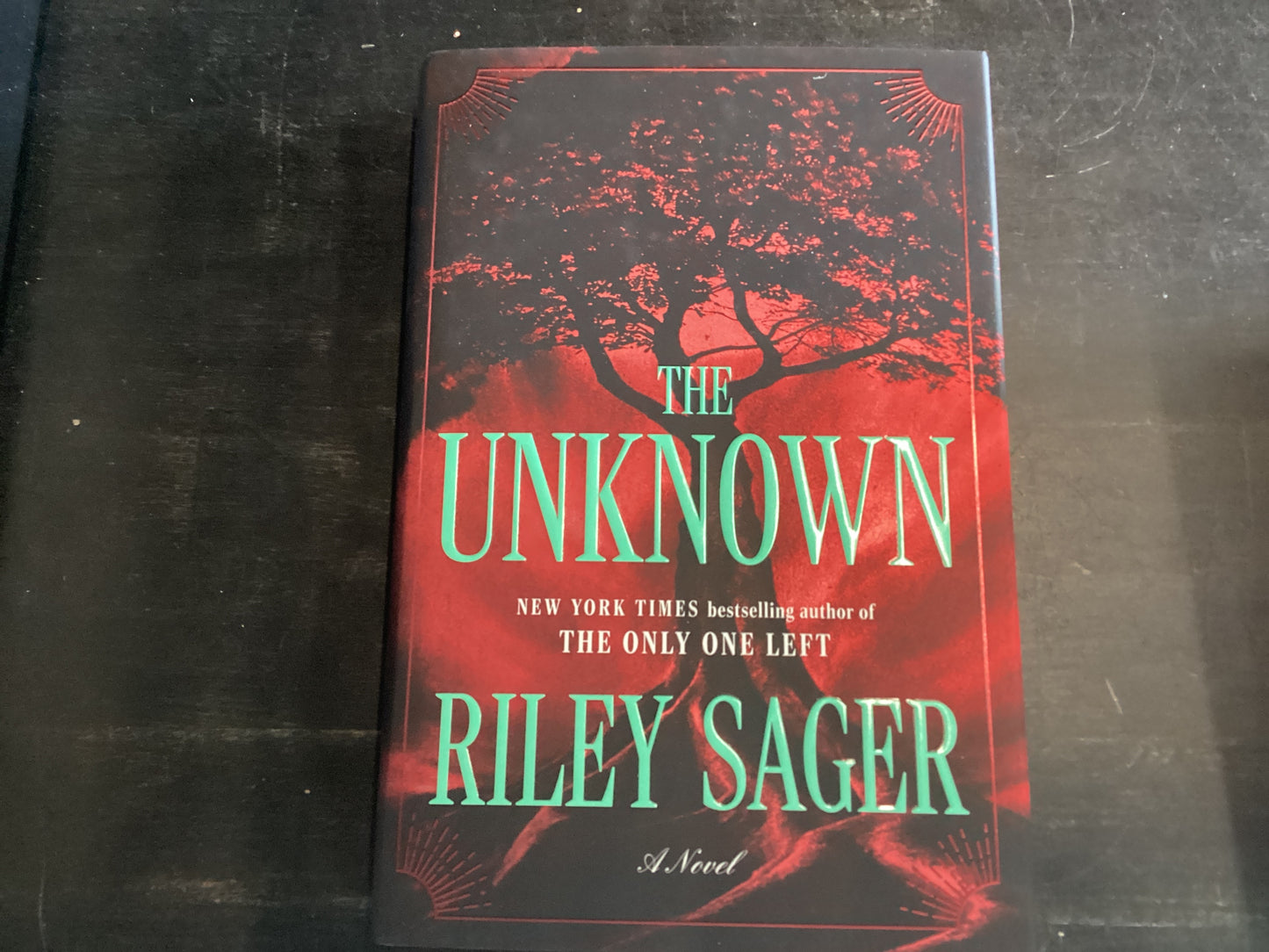 The Unknown - Sager, Riley