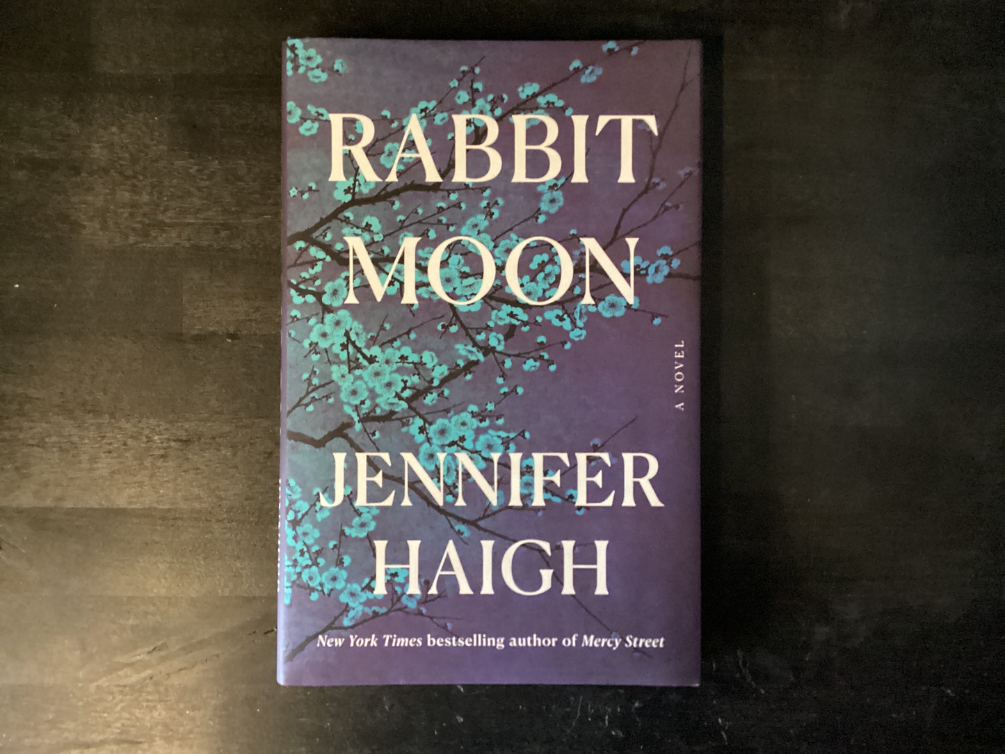 Rabbit Moon,Haigh, Jennifer