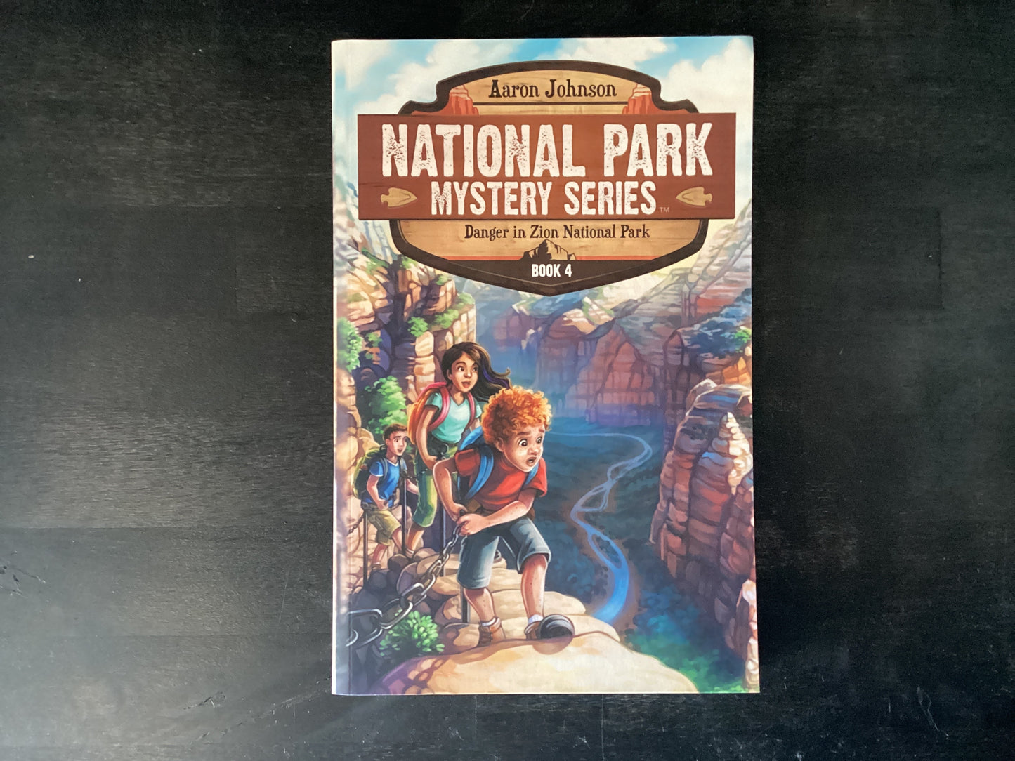 Danger in Zion National Park: A Mystery Adventure in the National Parks,Johnson, Aaron