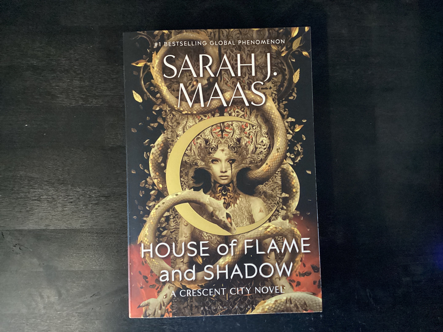 House of Flame and Shadow,Maas, Sarah J