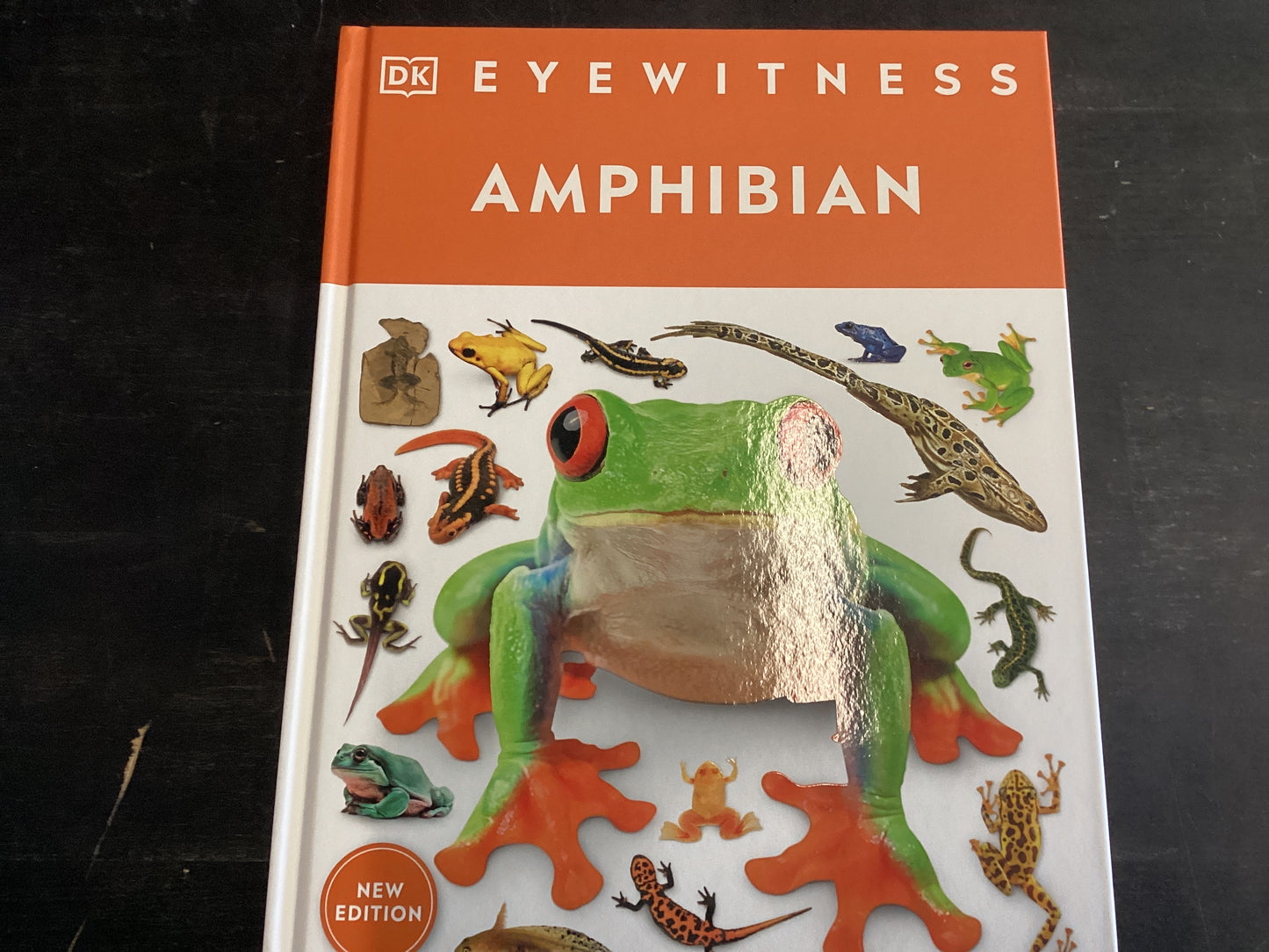 Eyewitness Amphibian