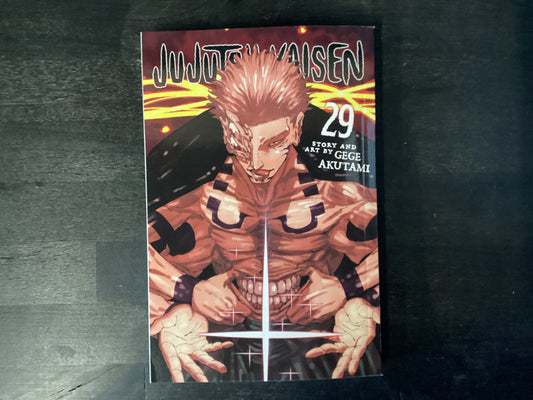 Jujutsu Kaisen 29 - Akutami, Gege