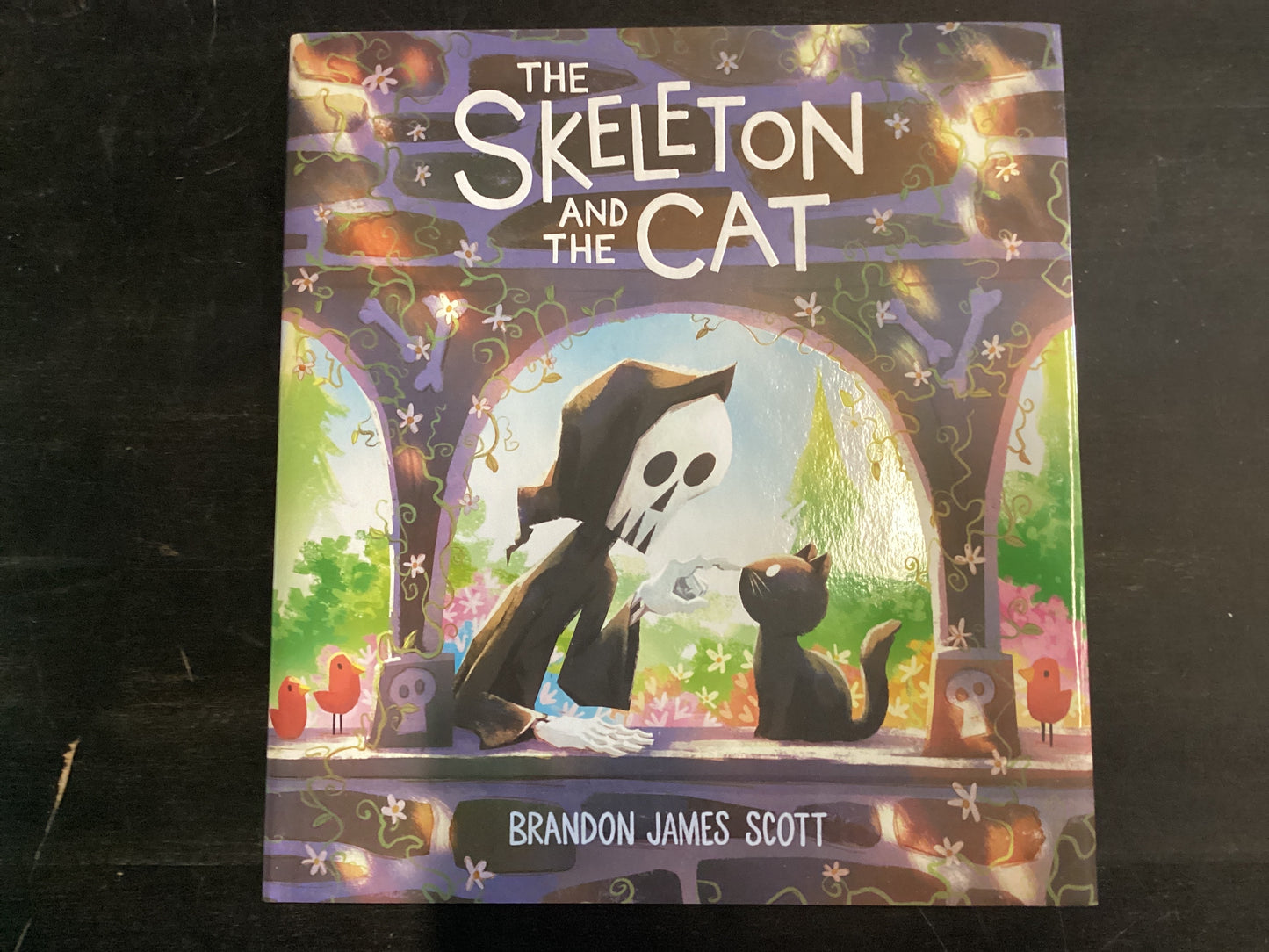 The Skeleton and the Cat - Scott, Brandon