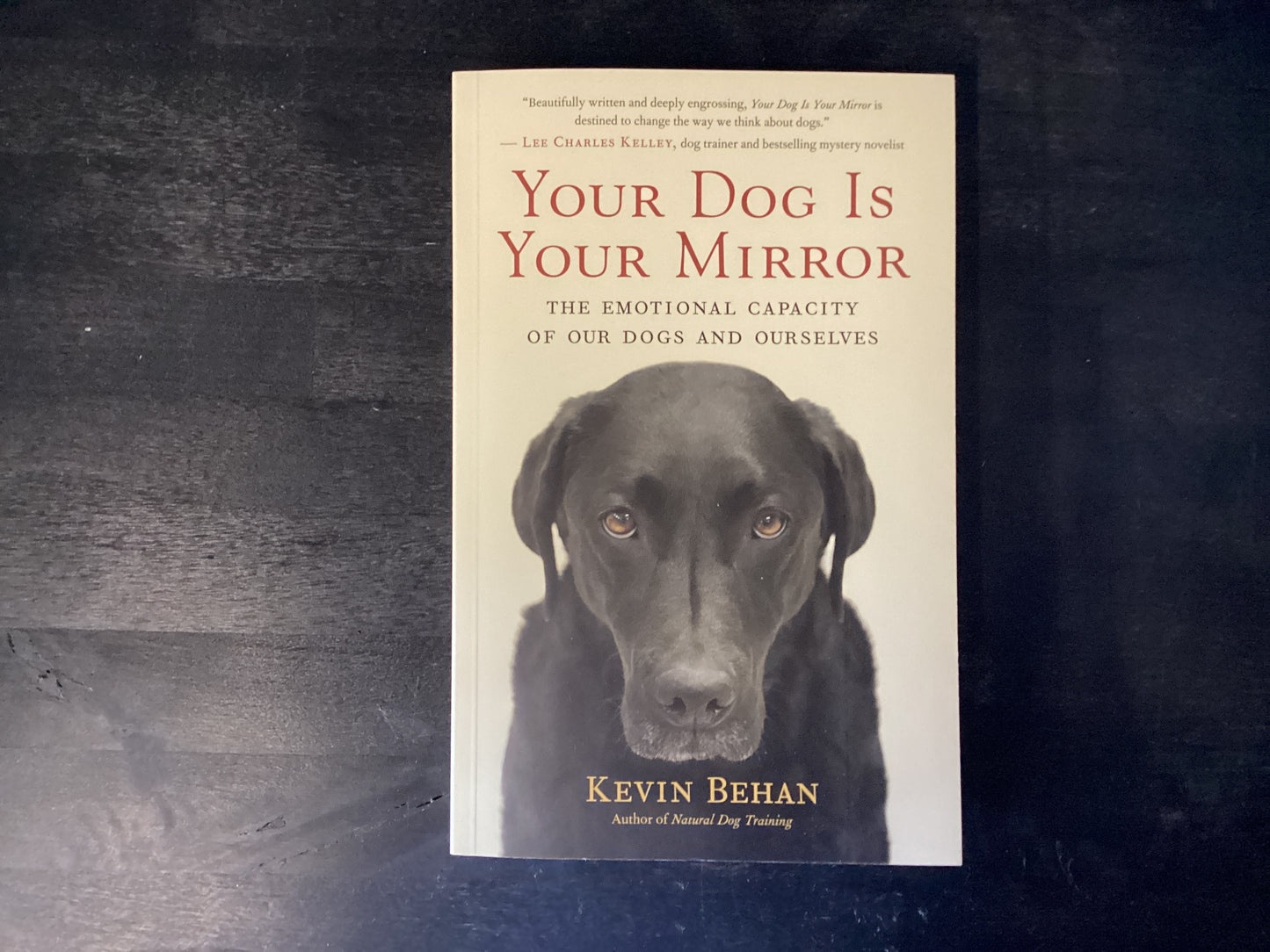 YOUR DOG IS YOUR MIRROR       ,BEHAN KEVIN