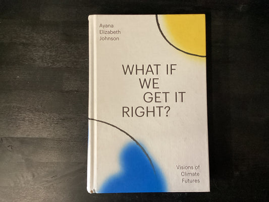 WHAT IF WE GET IT RIGHT       ,JOHNSON AYANA E
