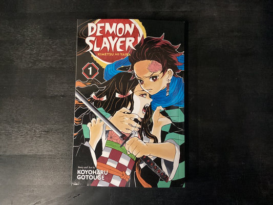 DEMON SLAYER KIMETSU NO YAIBA ,GOTOUGE KOYOHAR